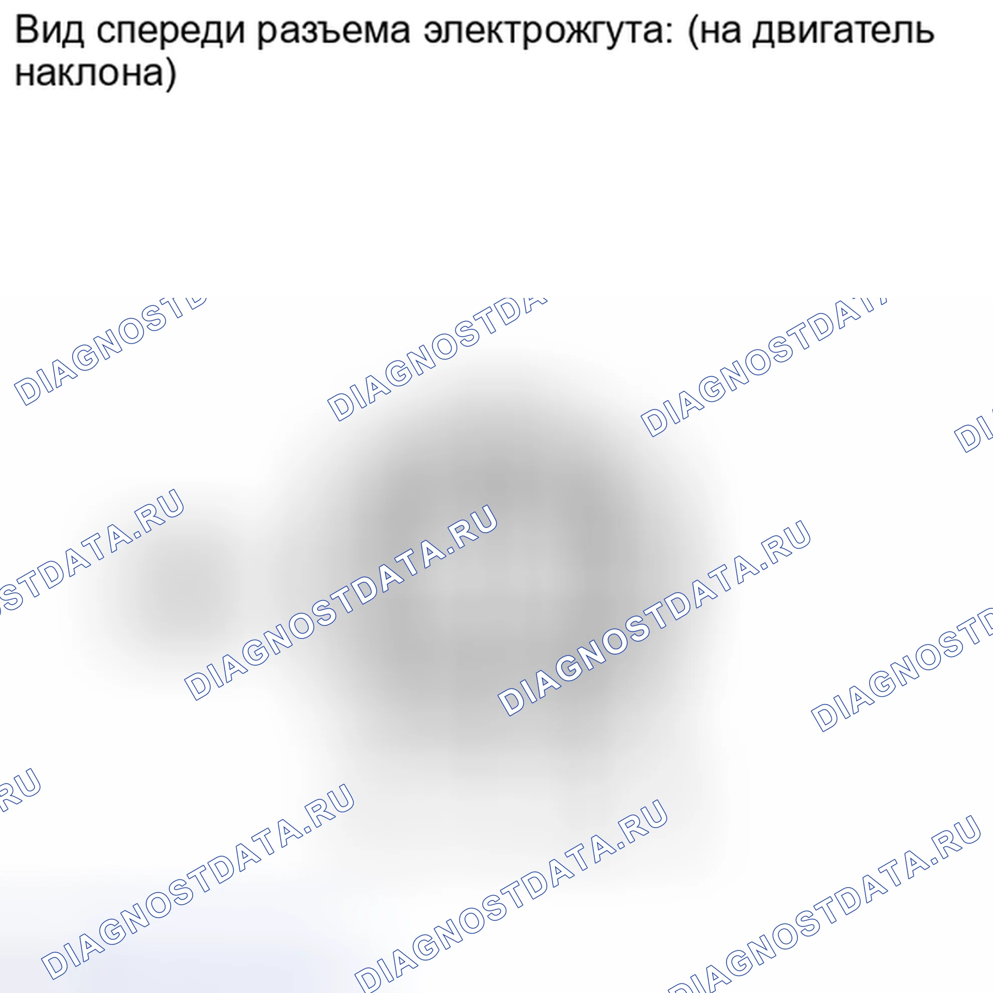 Рис. 50. Lexus IS F I