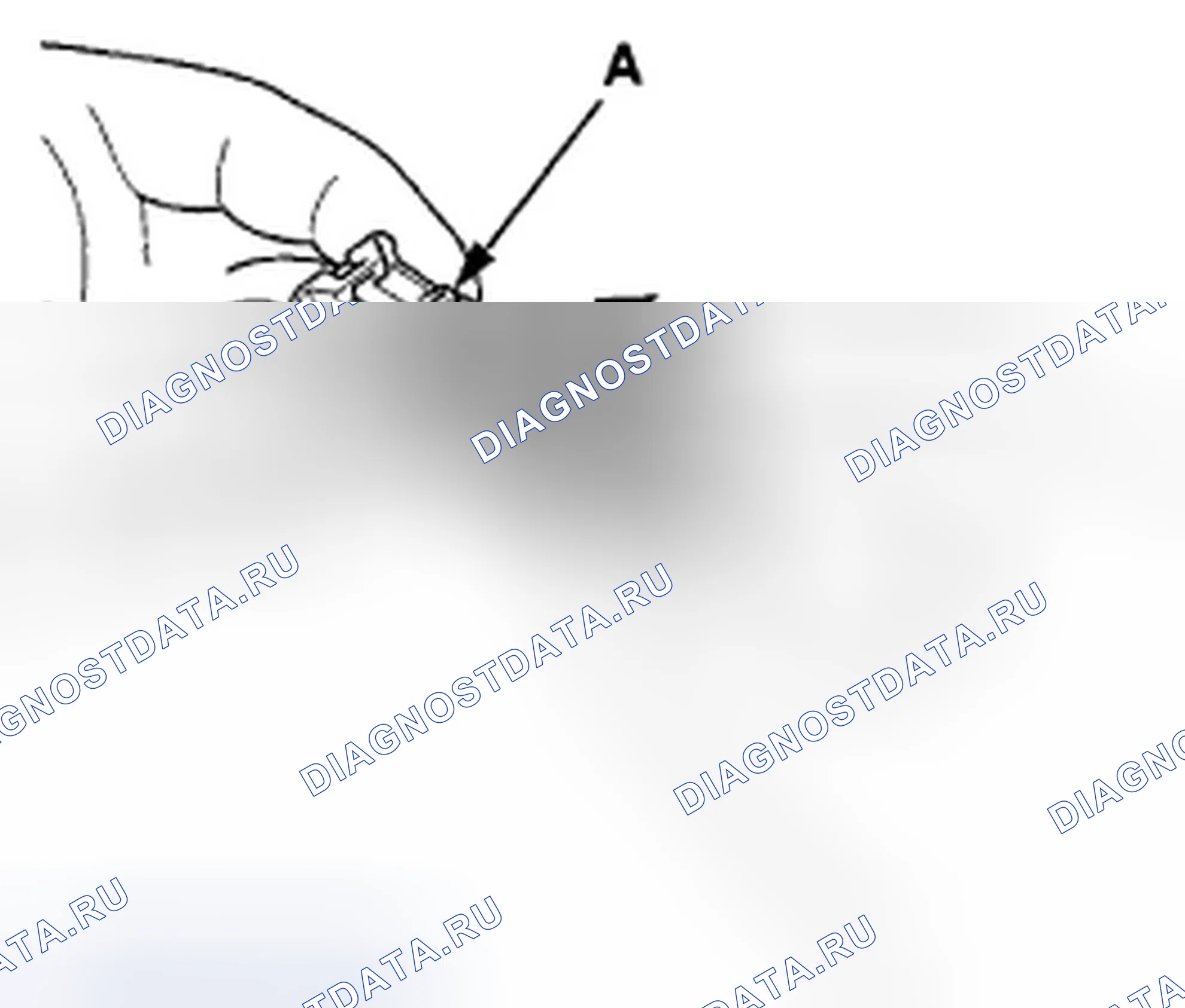 Рис. 576: Подключение. Honda Civic VIII