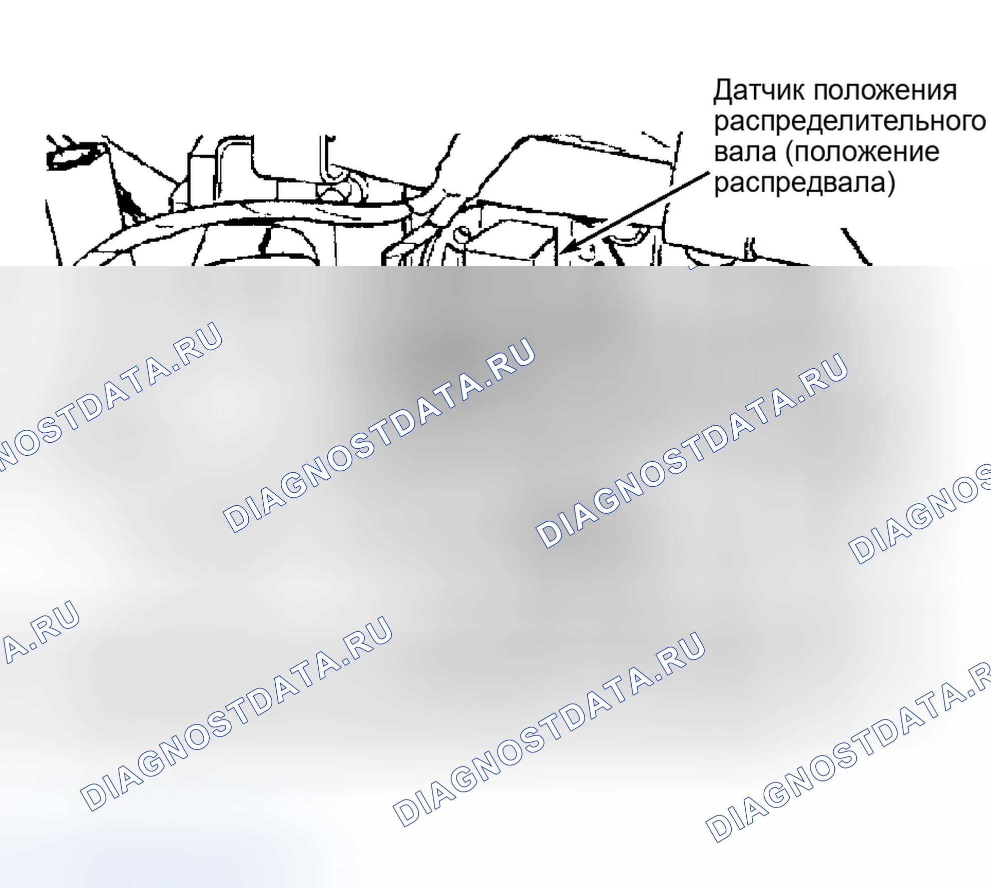 Рис. 38: Расположение датчика положения распределительного вала (положение распредвала) (SOHC). Dodge Neon I
