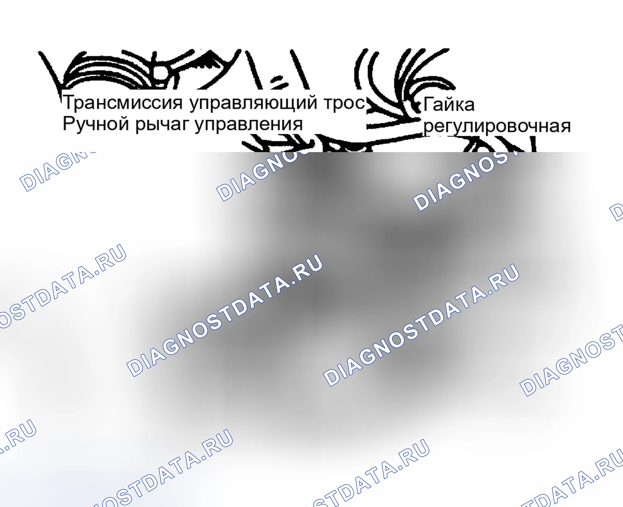 Рис. 1. Hyundai Tiburon II