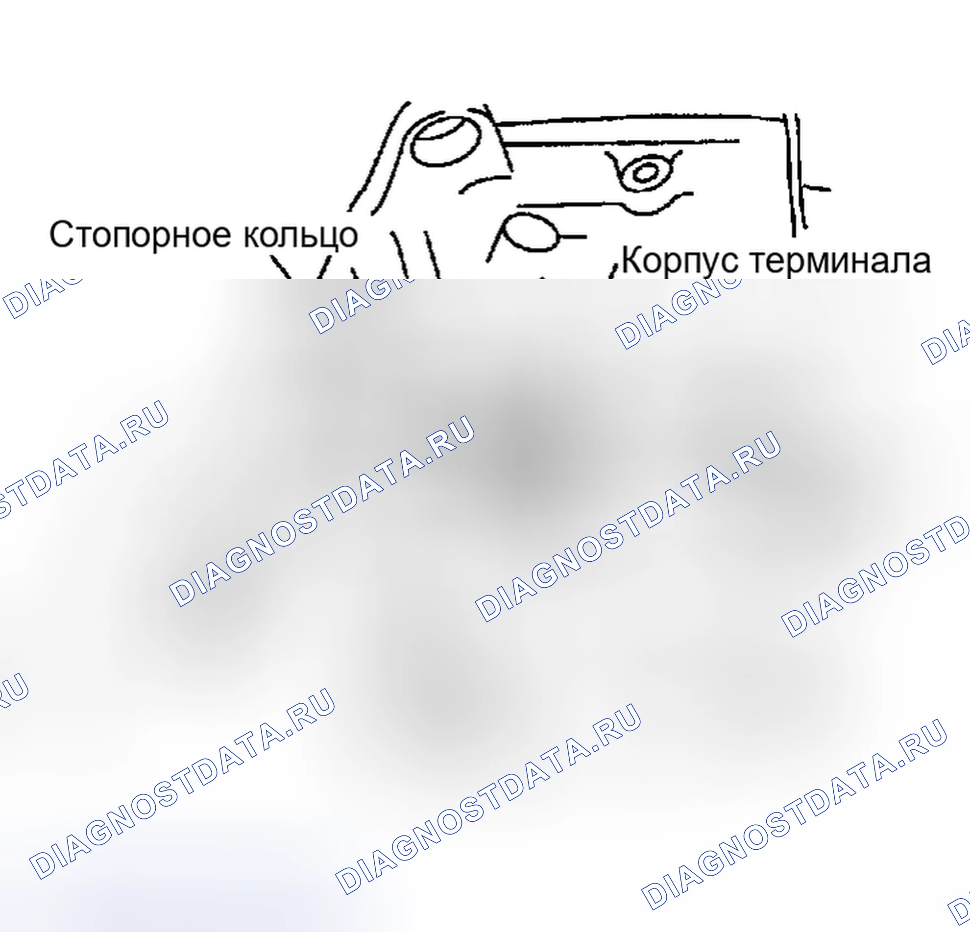 Рис. 442. Nissan Altima L31
