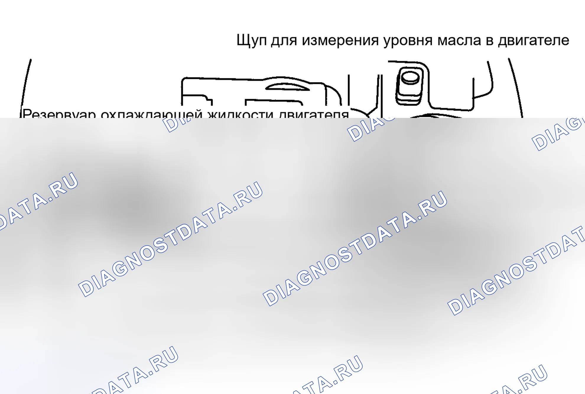 Рис. 5: РАСПОЛОЖЕНИЕ ТОЧЕК ОБСЛУЖИВАНИЯ. Honda Accord I