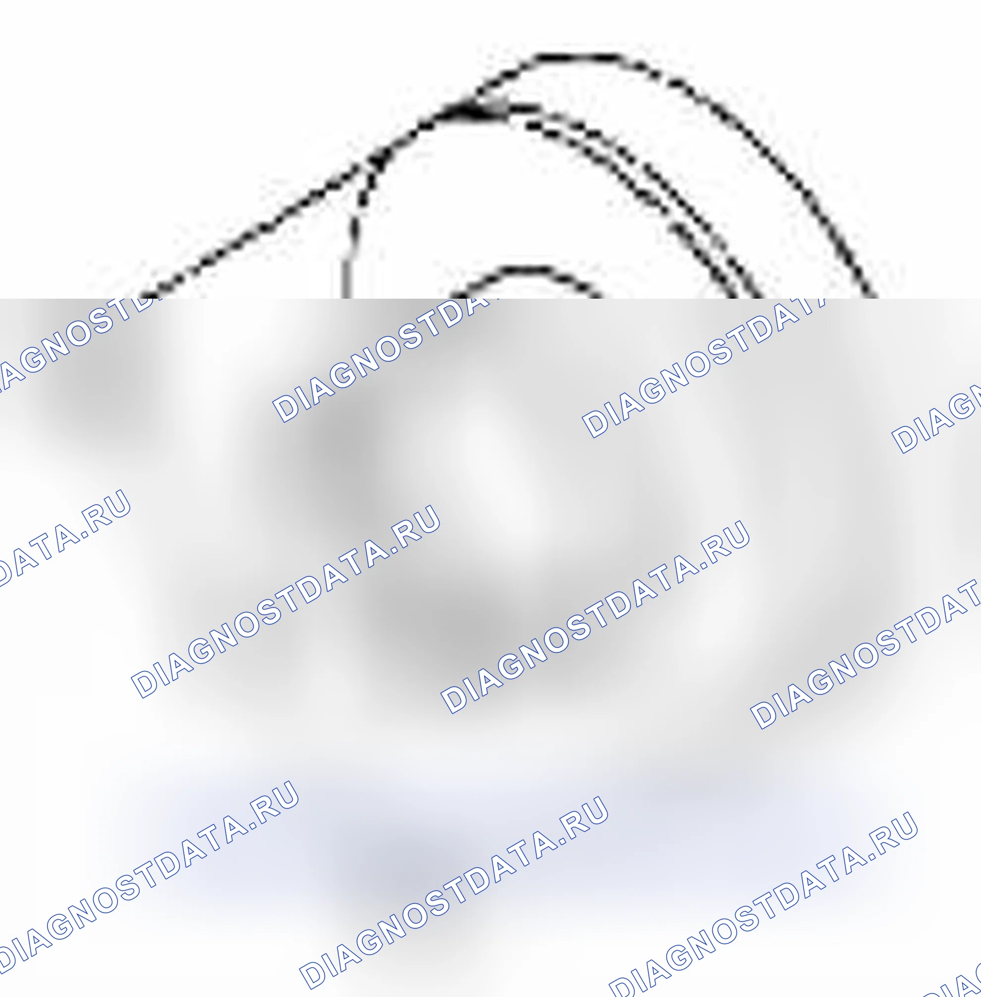 Рис. 401. Suzuki Equator I