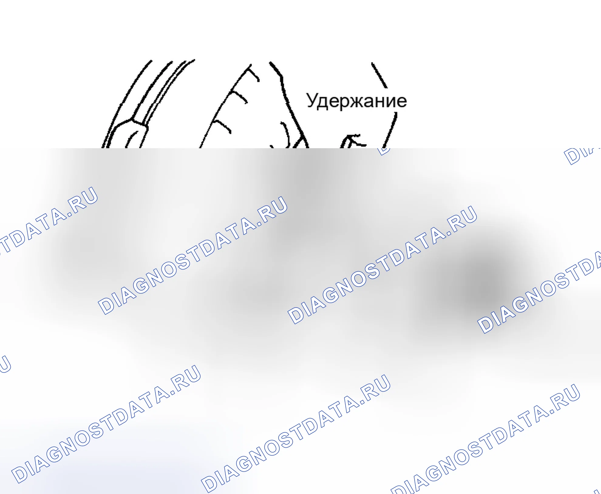 Рис. 409. Toyota Matrix E130