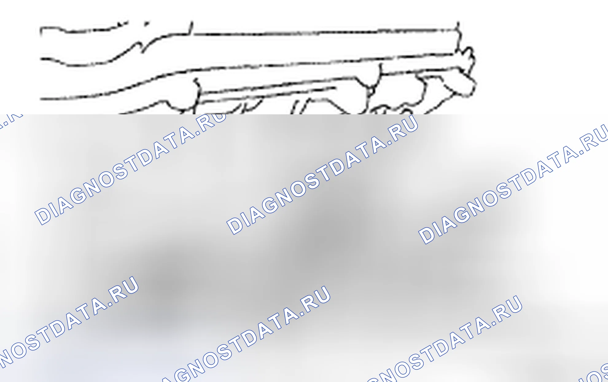 Рис. 551. Toyota 4Runner IV рестайлинг