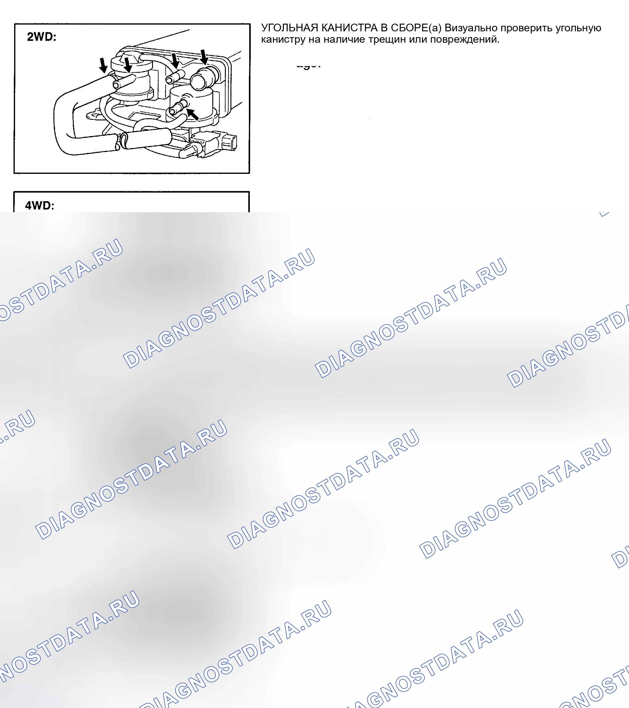 Рис. 787: Угольная канистра (матрица с двигателем 1ZZ-FE). Toyota MR2 W30