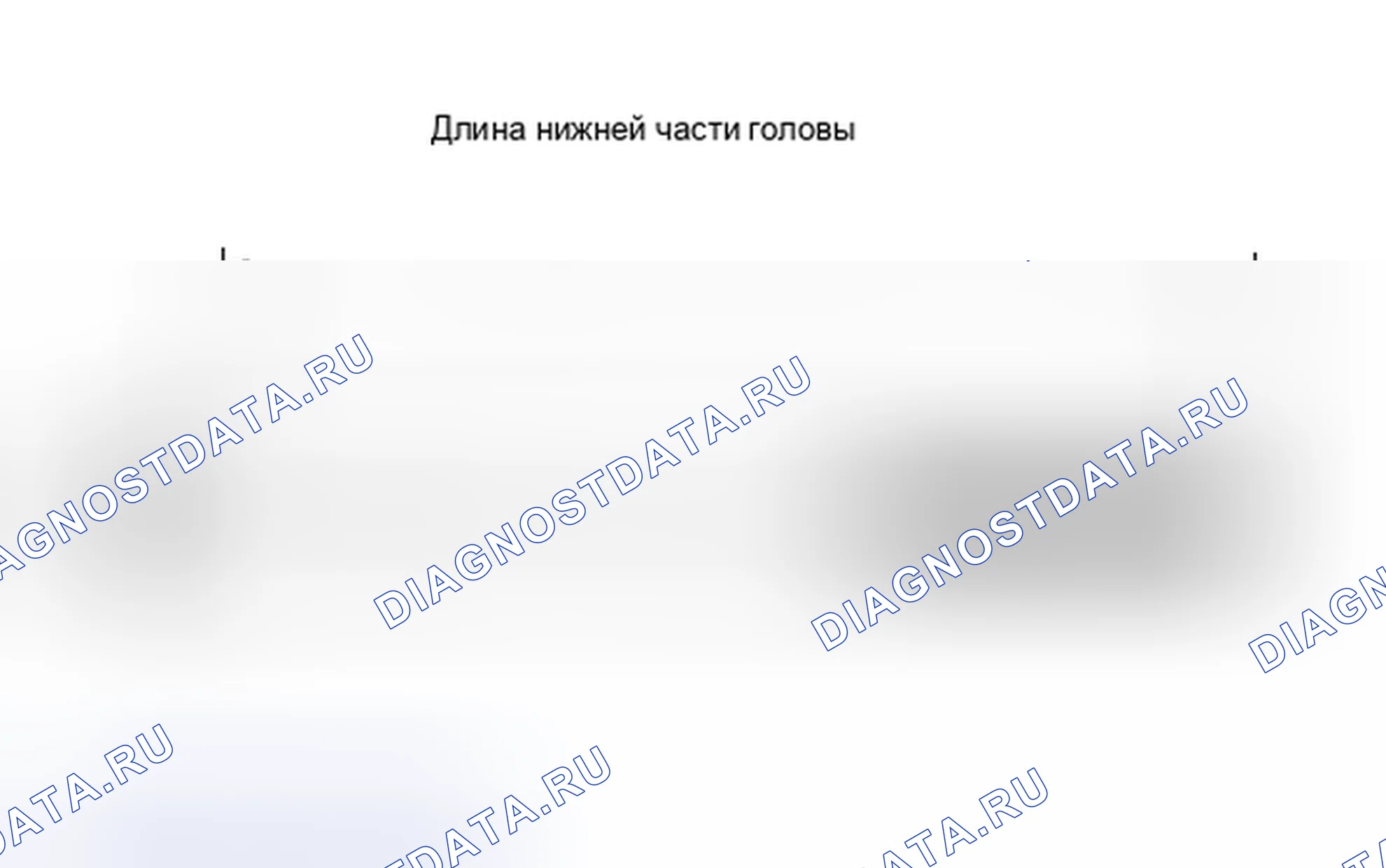 Рис. 397. Toyota Yaris III