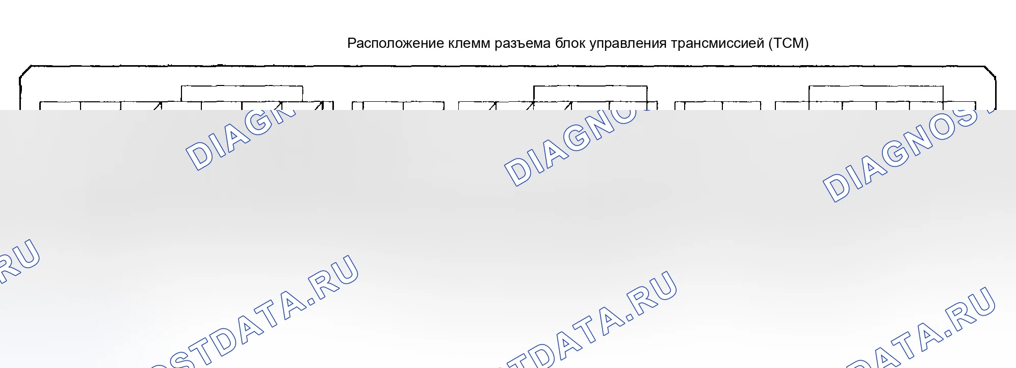 Рис. 1027: Входы и выходы блок управления трансмиссией (TCM) (блок управления трансмиссией). Honda Civic VII рестайлинг