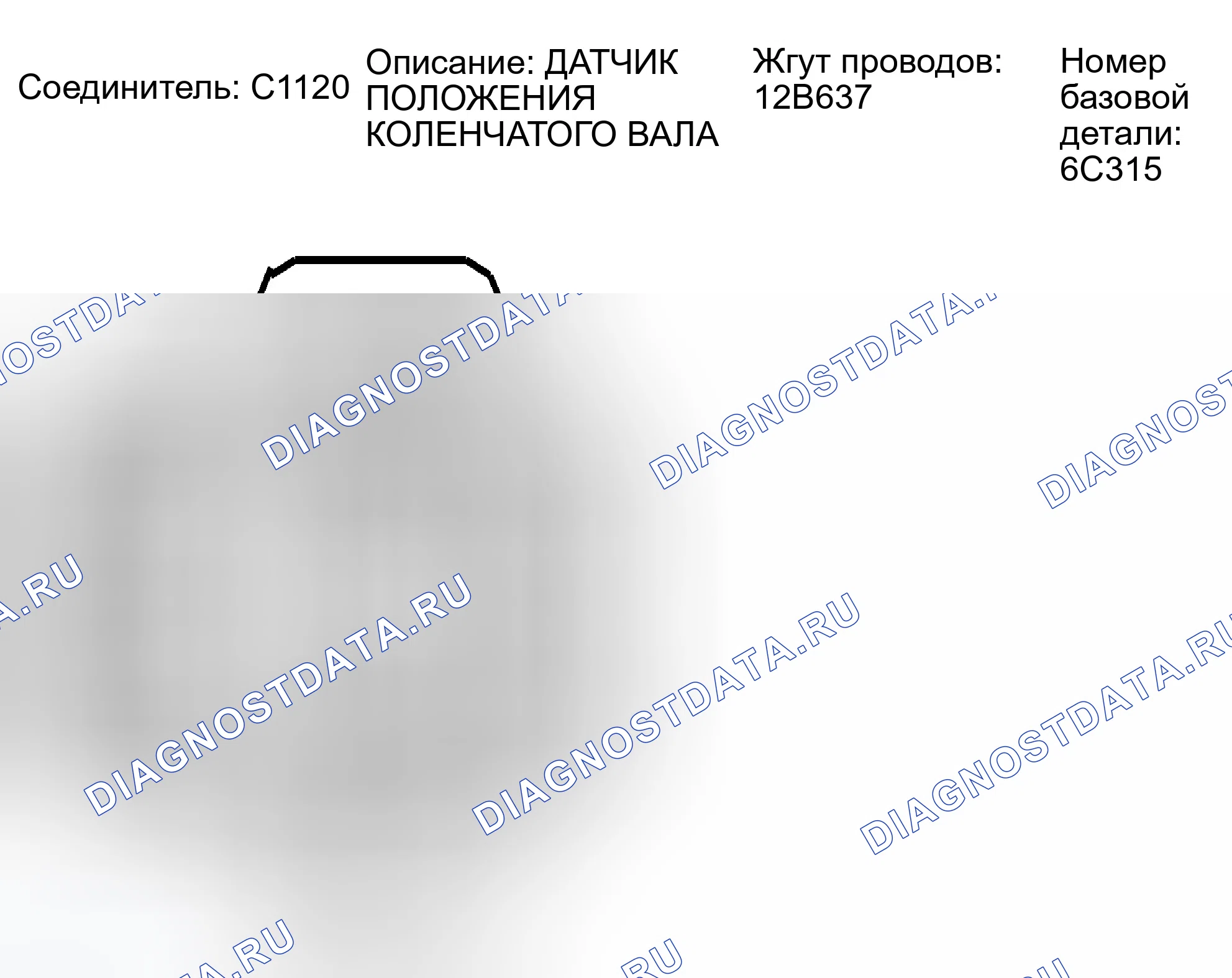 Рис. 237: Идентификация разъема C1120. Ford Escape I рестайлинг