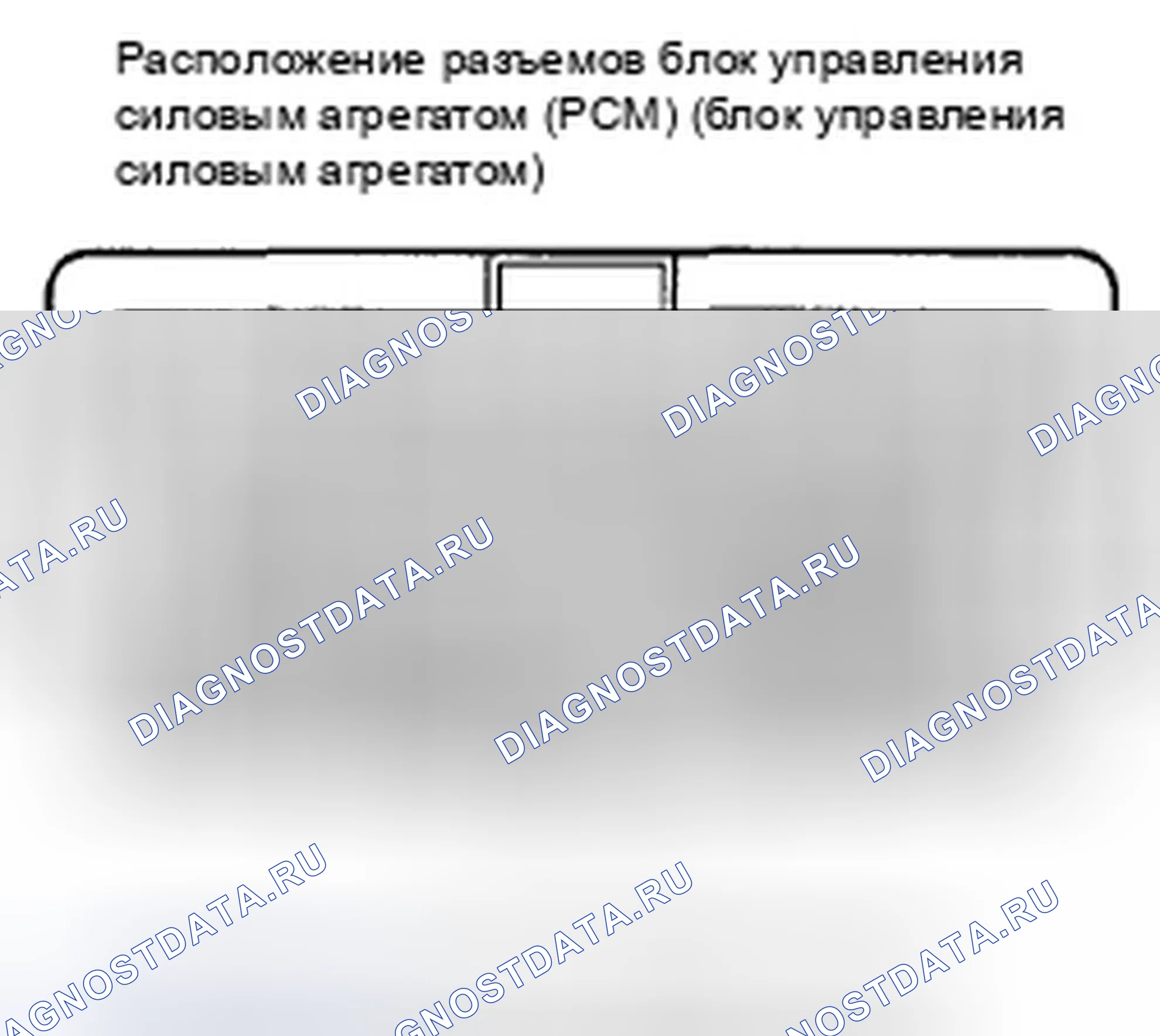 Рис. 262: Входы и выходы ИКМ на разъеме A (•) (44P). Honda Insight ZE2