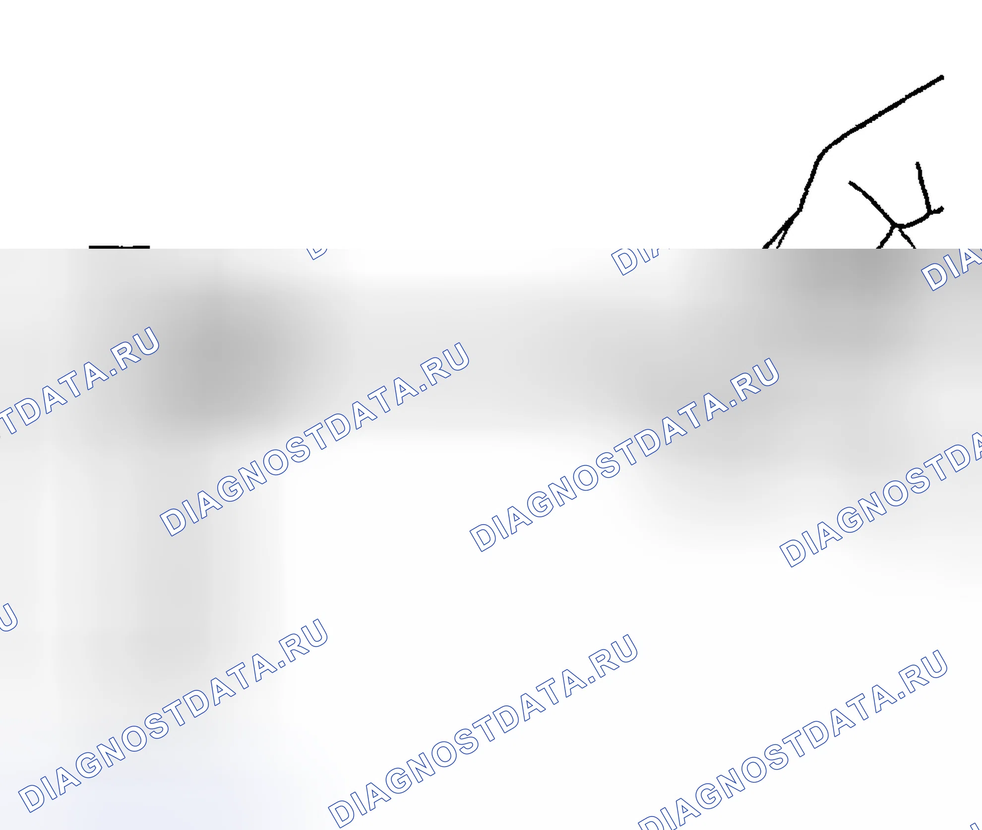 Рис. 135. Hyundai Tiburon II рестайлинг
