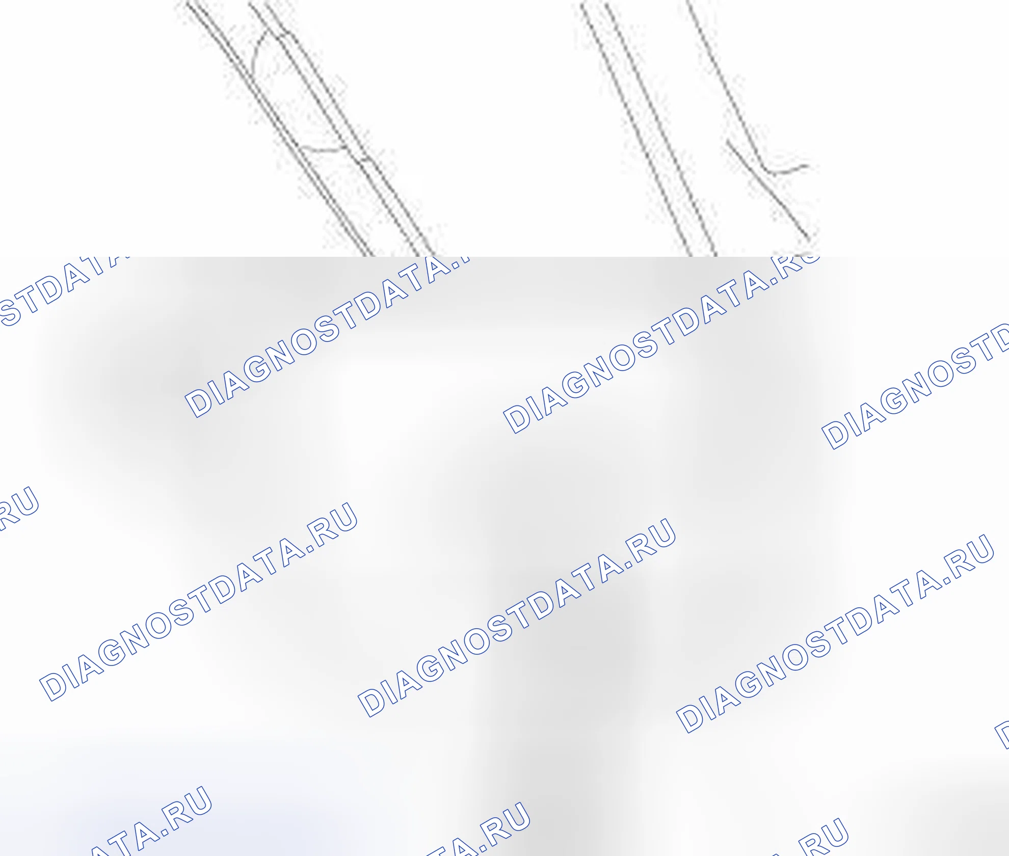 Рис. 26. Dodge Cab & Chassis R3500 HD final