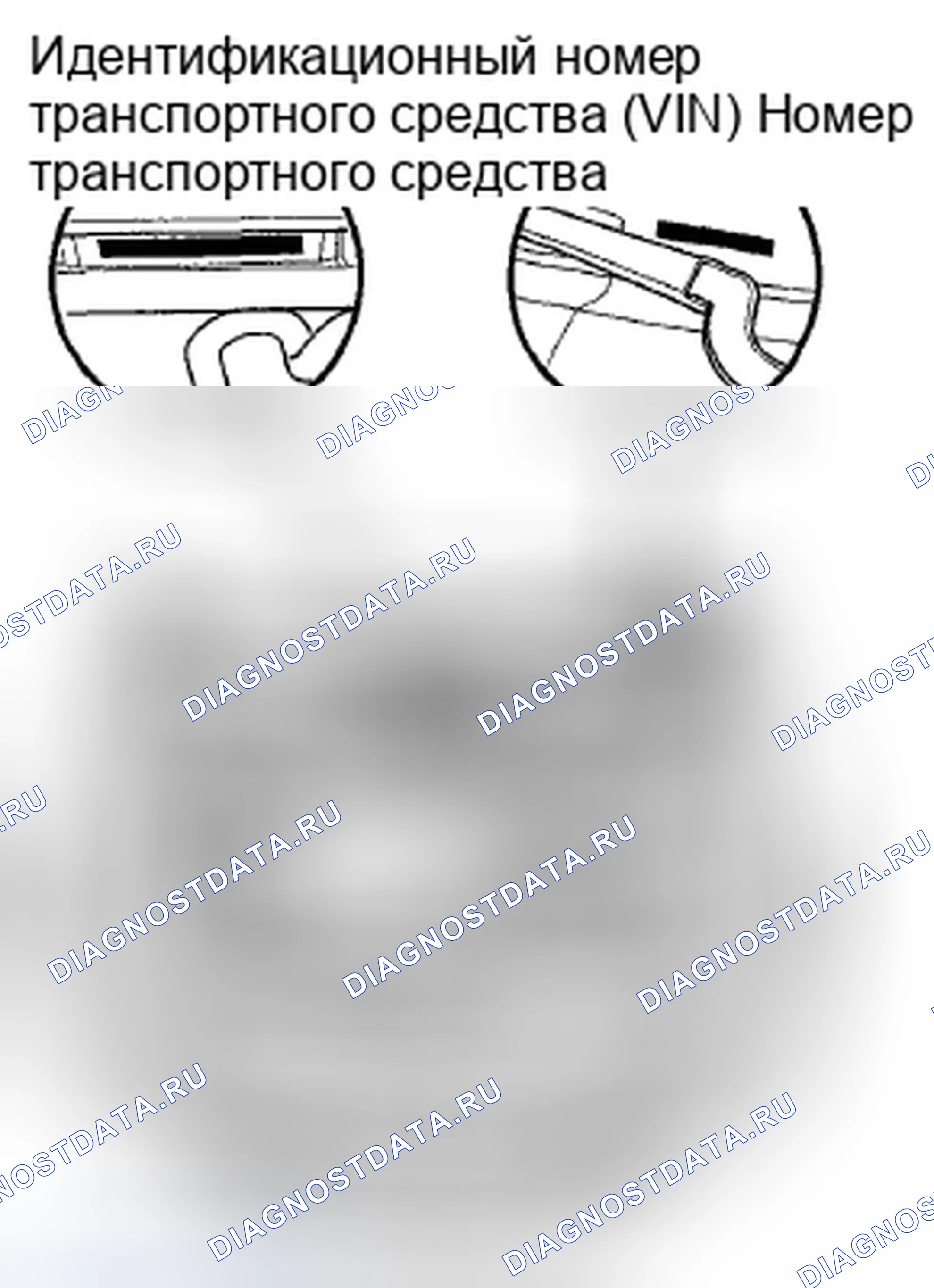 Рис. 25: Расположение идентификационных номеров. Honda Crosstour I
