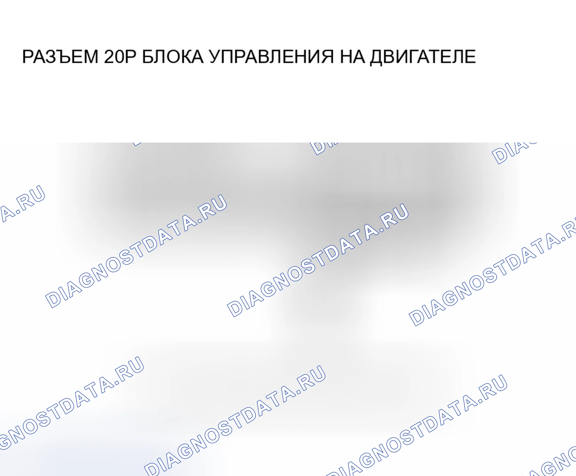 Рис. 596. Honda Accord VII рестайлинг