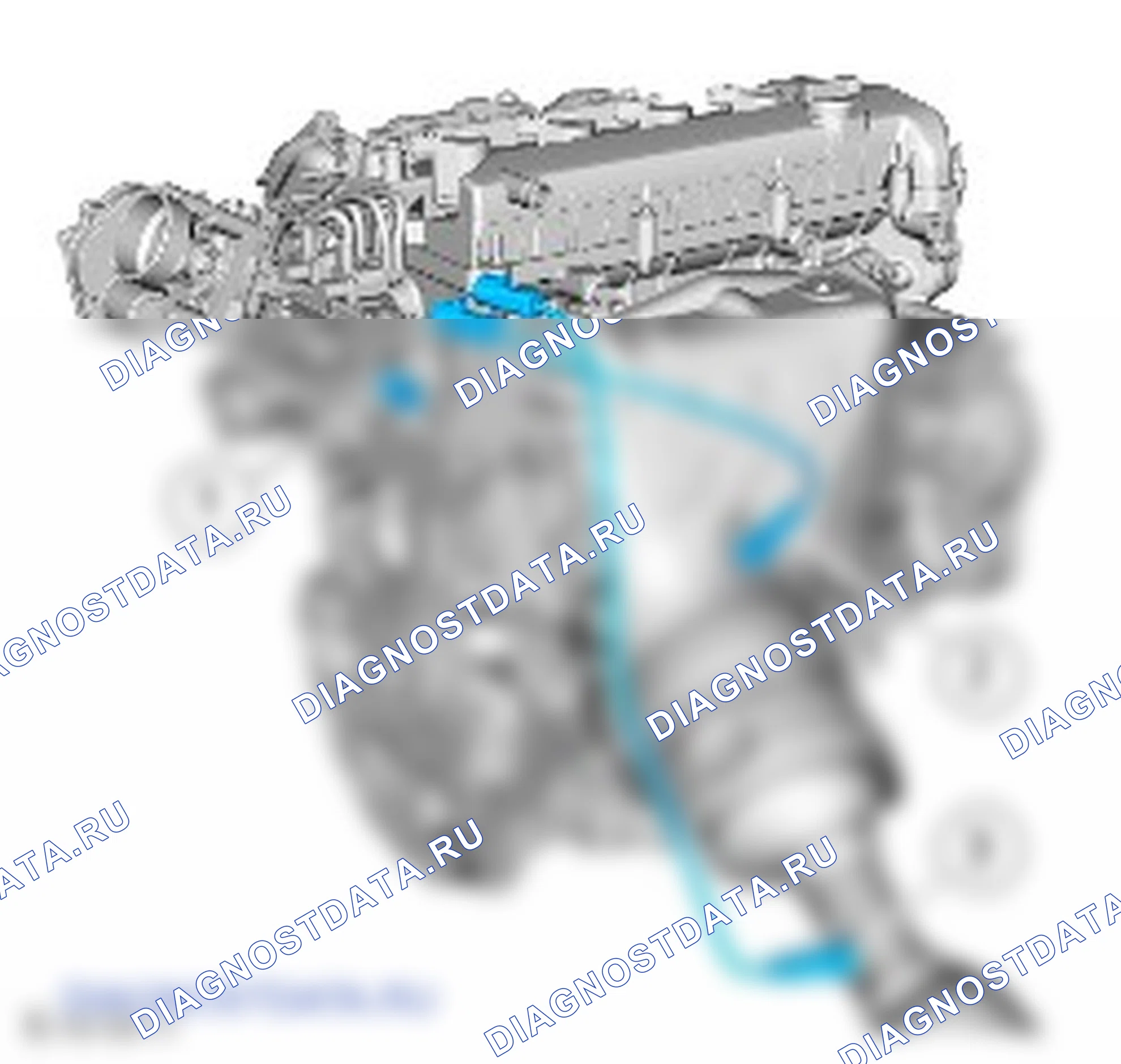 Электронные органы управления: описание и работа. Ford Mondeo IV рестайлинг