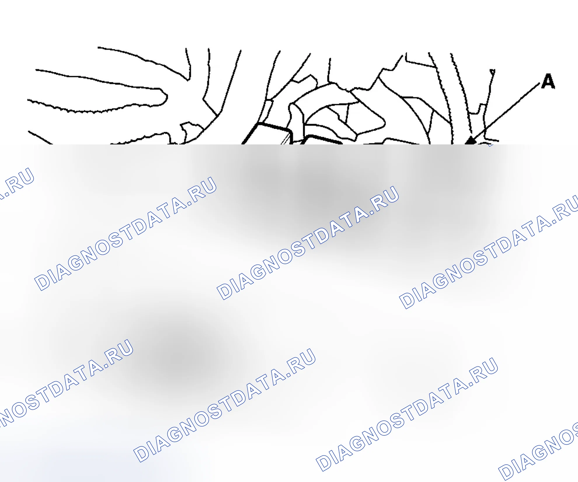 Рис. 96. Honda Element YH2