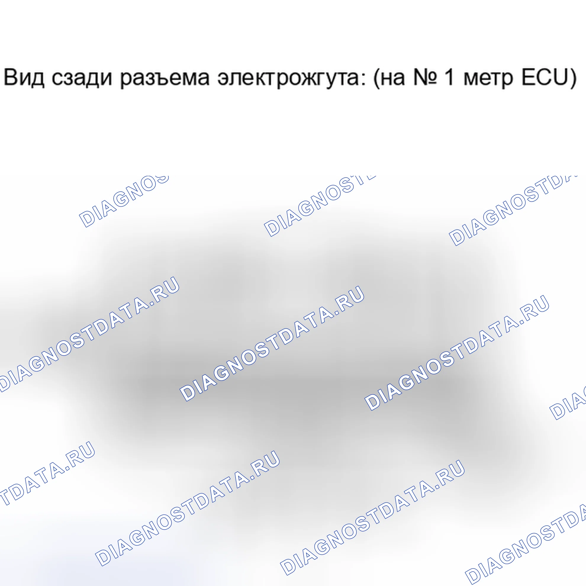 Рис. 113: ПОРЯДОК ВЫПОЛНЕНИЯ РАБОТ. Honda Accord IV