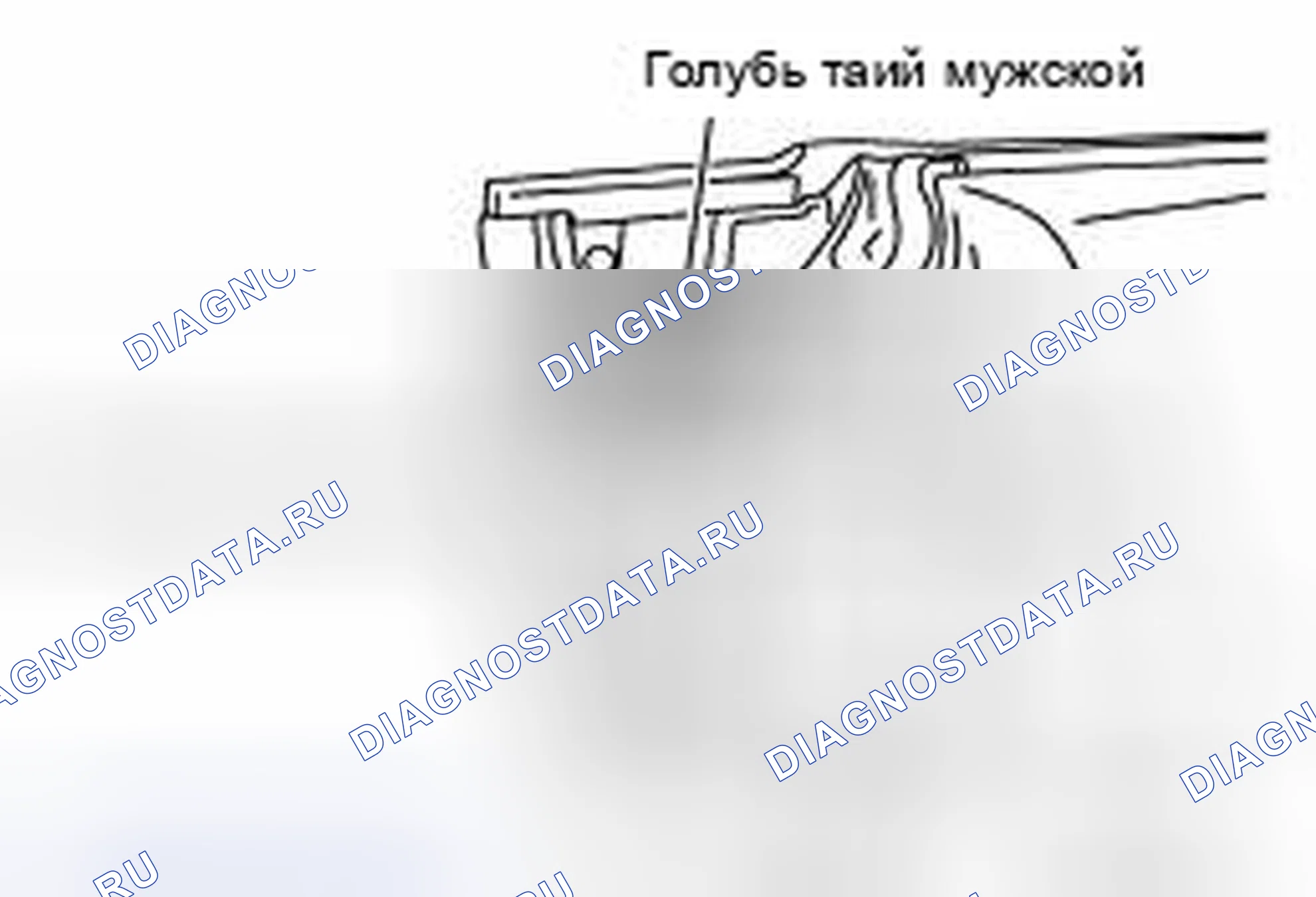 Рис. 136: ДЕМОНТАЖ. Nissan 350Z I рестайлинг
