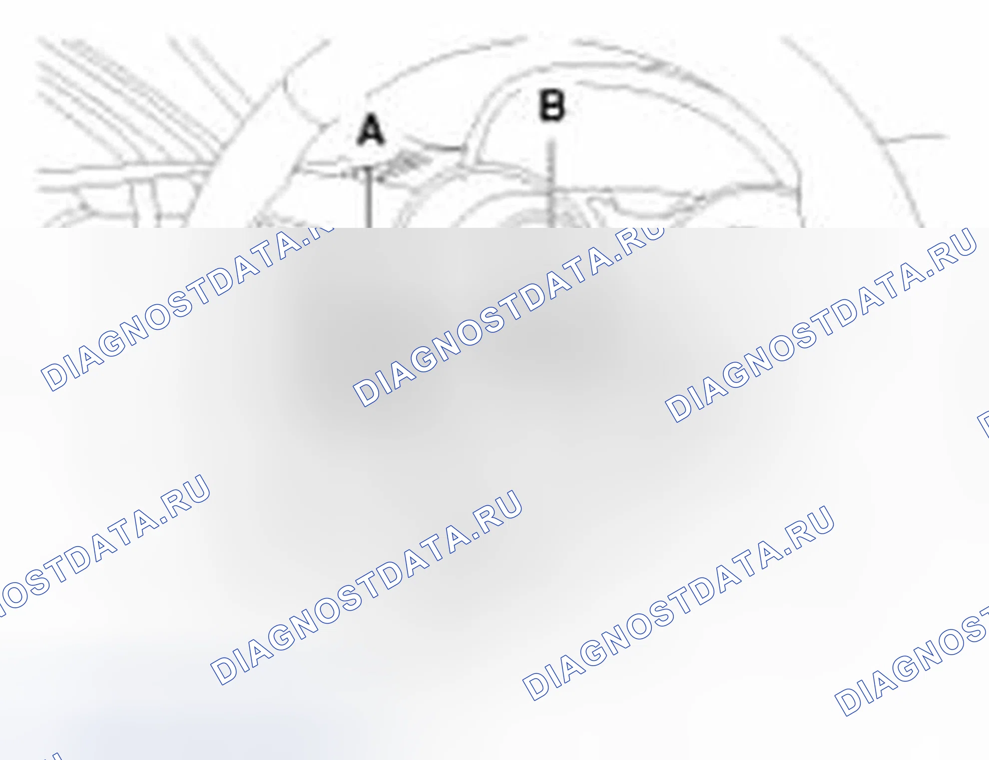 Рис. 10. Hyundai Veloster I