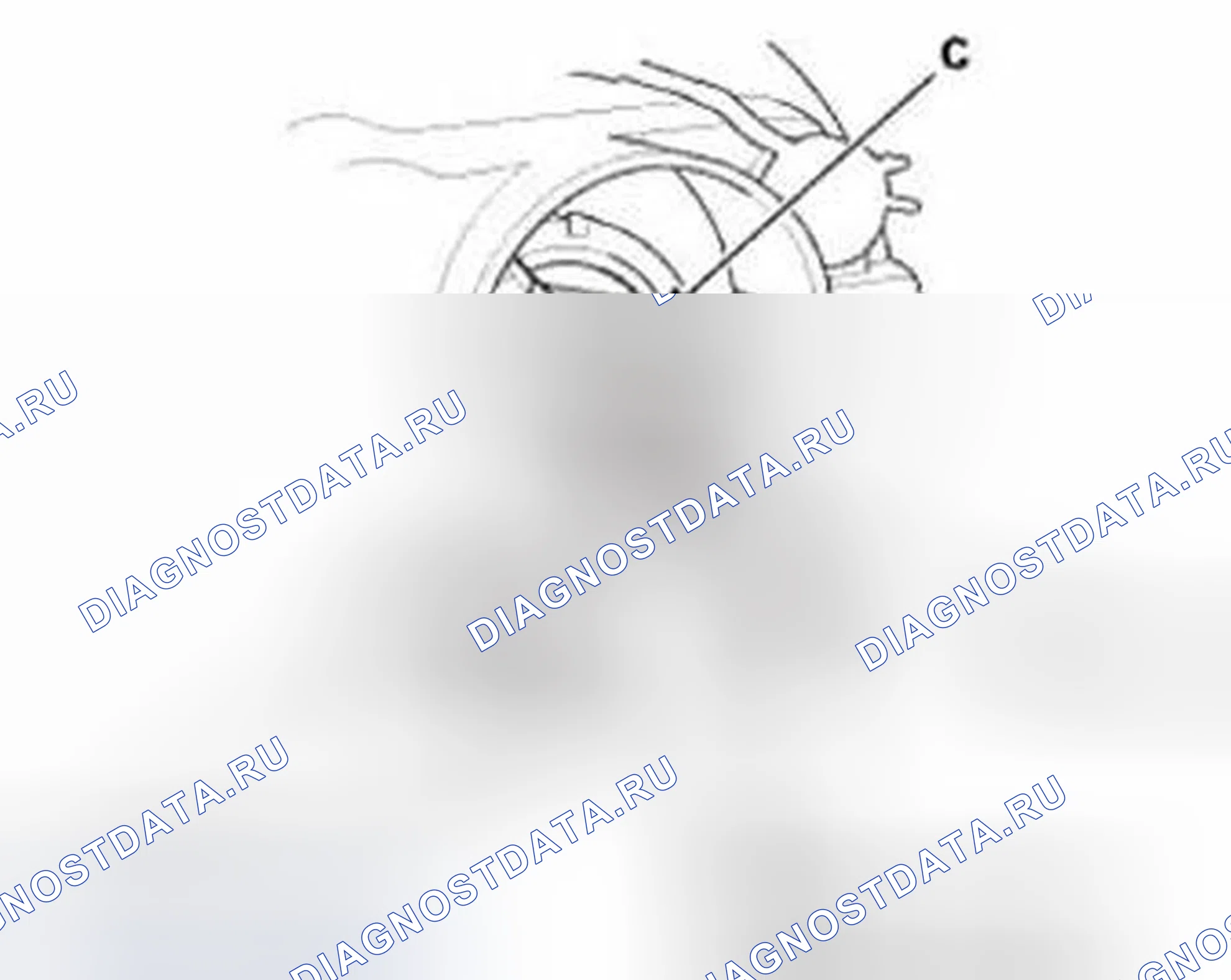 Рис. 619. Honda Civic IX