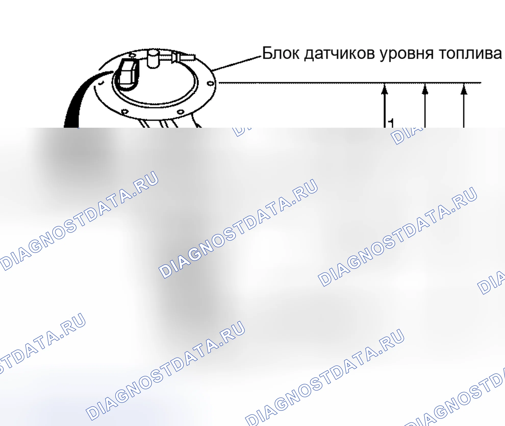 Рис. 530. Nissan Altima L31 рестайлинг