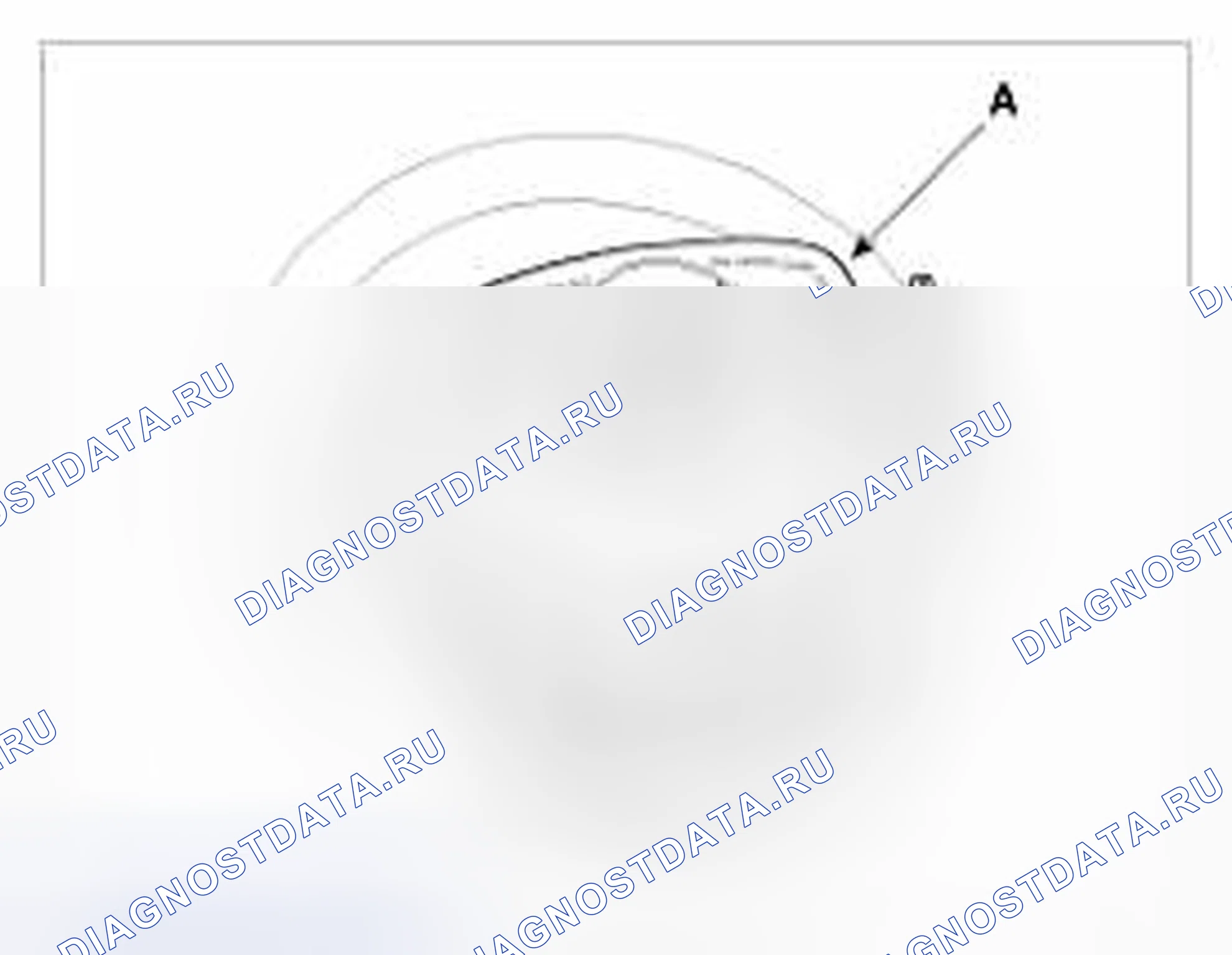 Рис. 8. BMW 6 серия F06/F13/F12