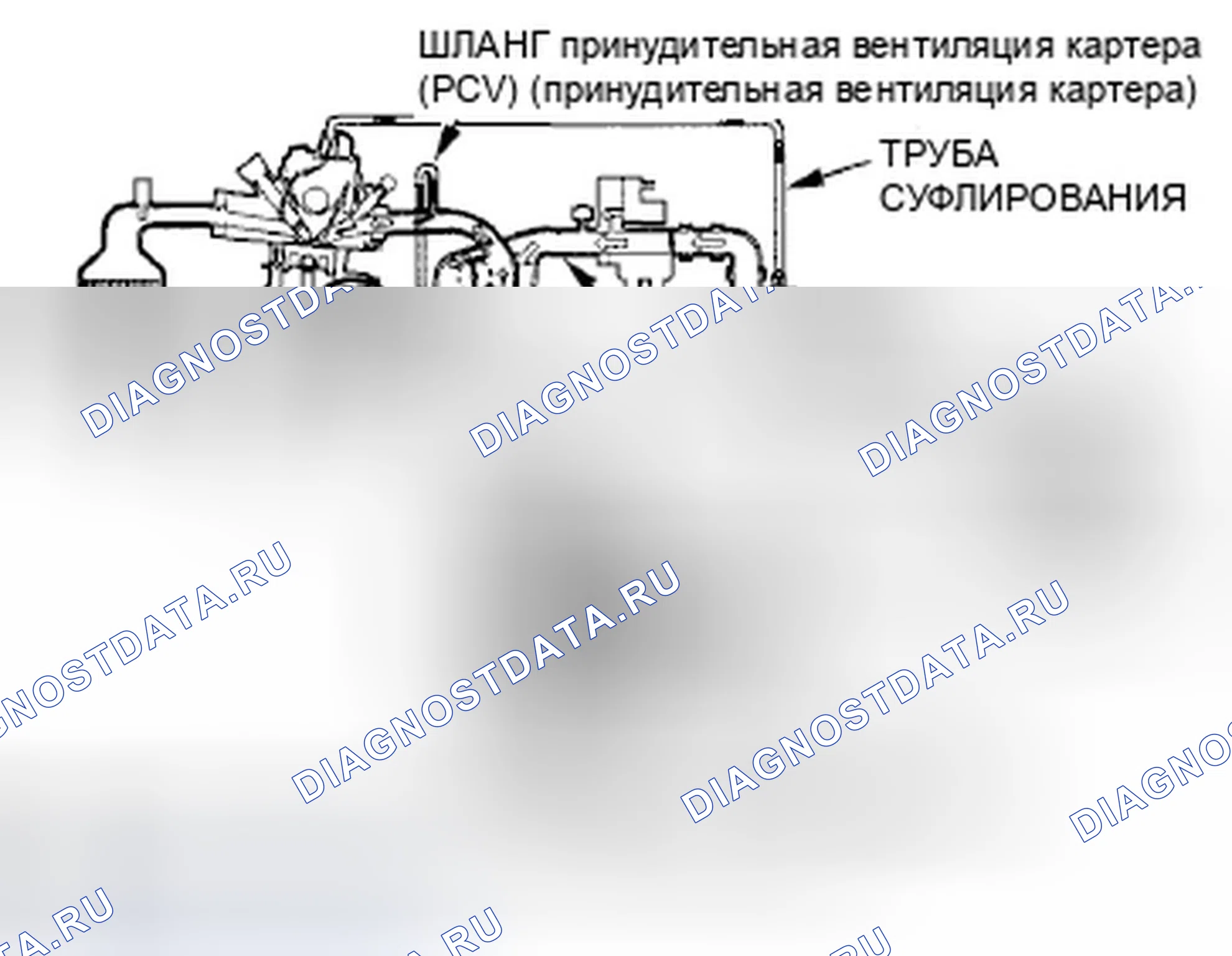 Рис. 940: Система принудительной вентиляции картера (принудительная вентиляция картера (PCV) (принудительная вентиляция картера)). Honda Civic VIII