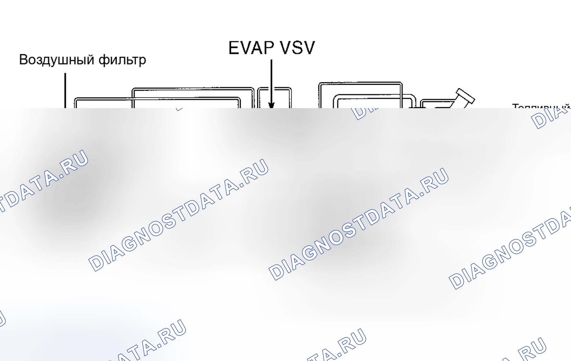 Рис. 34: СИСТЕМА ИСПАРИТЕЛЬНЫХ ВЫБРОСОВ (EVAP). Toyota 4Runner III
