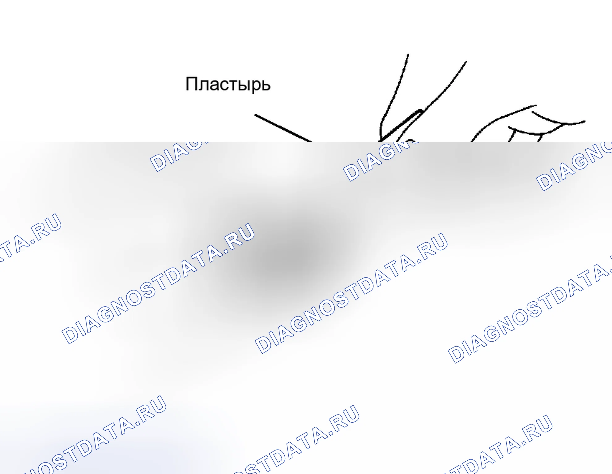 Рис. 4. Scion tC II