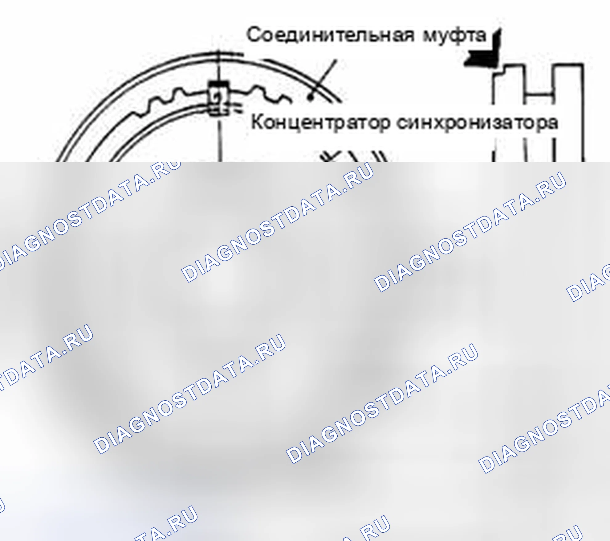 Рис. 271. Suzuki Equator I