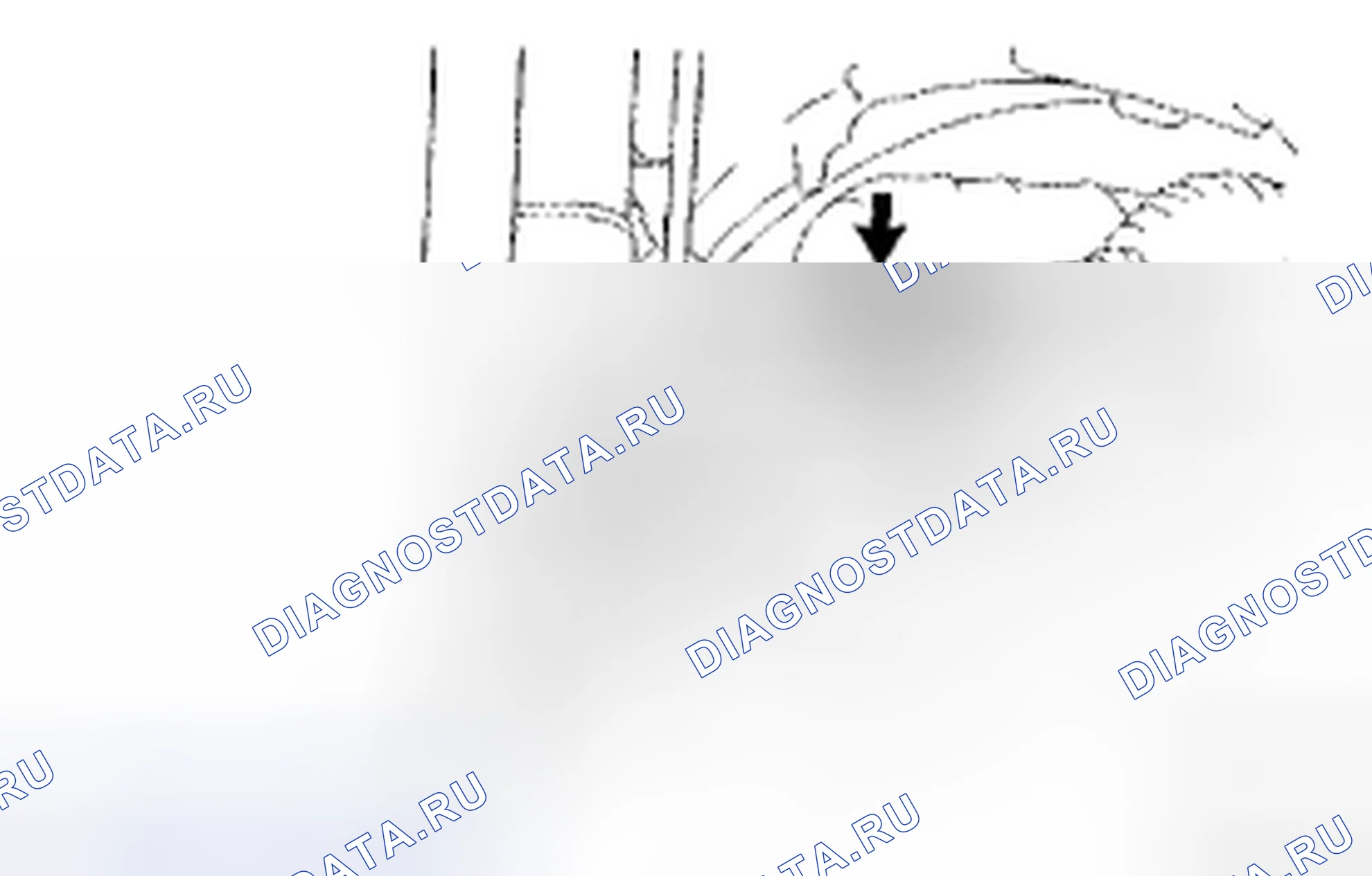 Рис. 3. Honda Accord IX