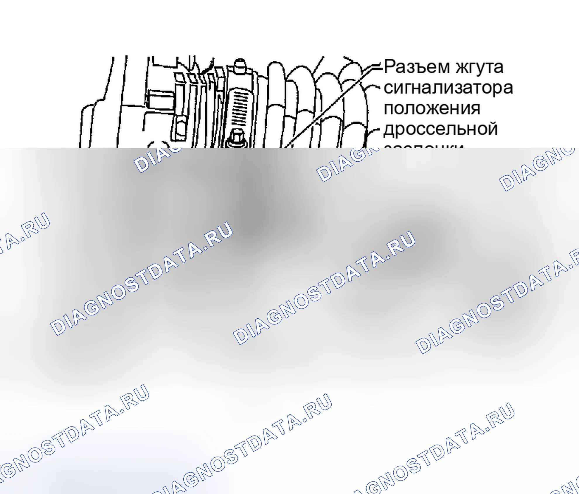 Рис. 1078. Honda Odyssey (North America) I