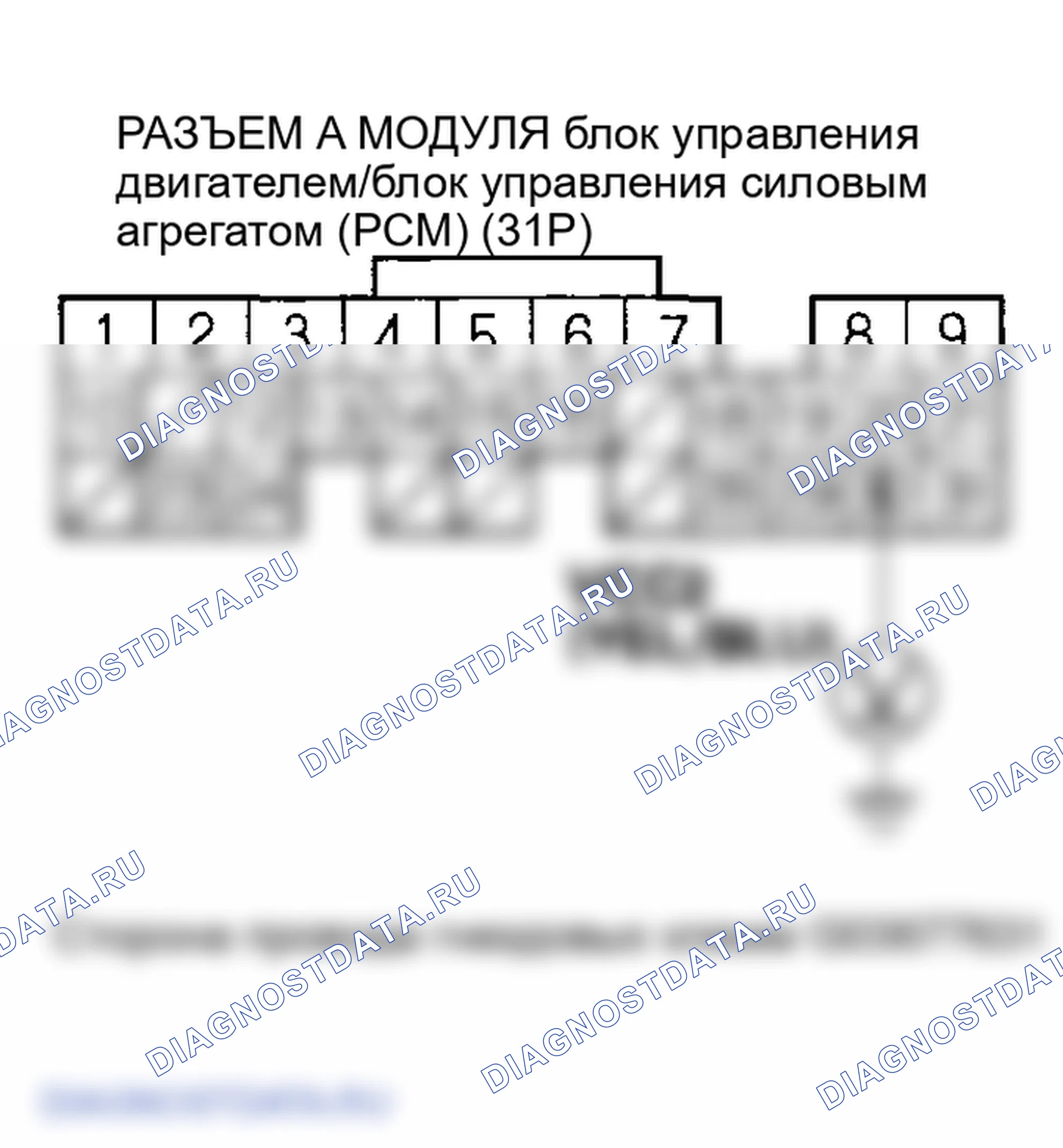 Рис. 34. Honda Element I