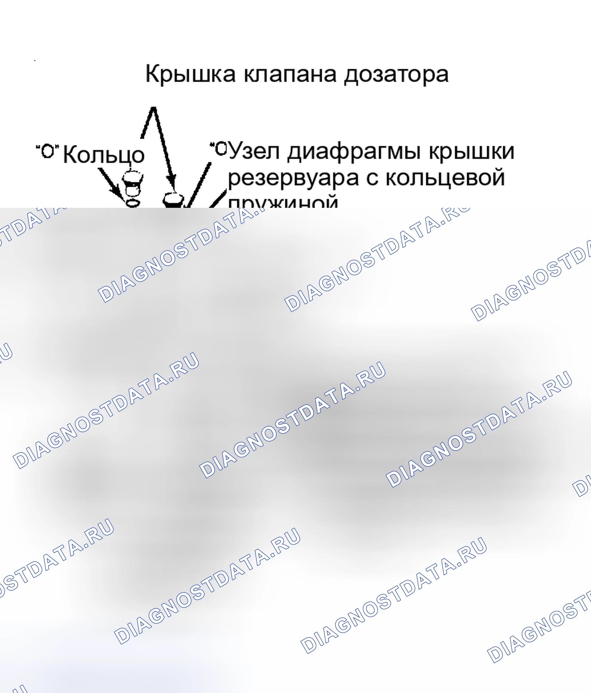 Рис. 2. Hyundai Staria I