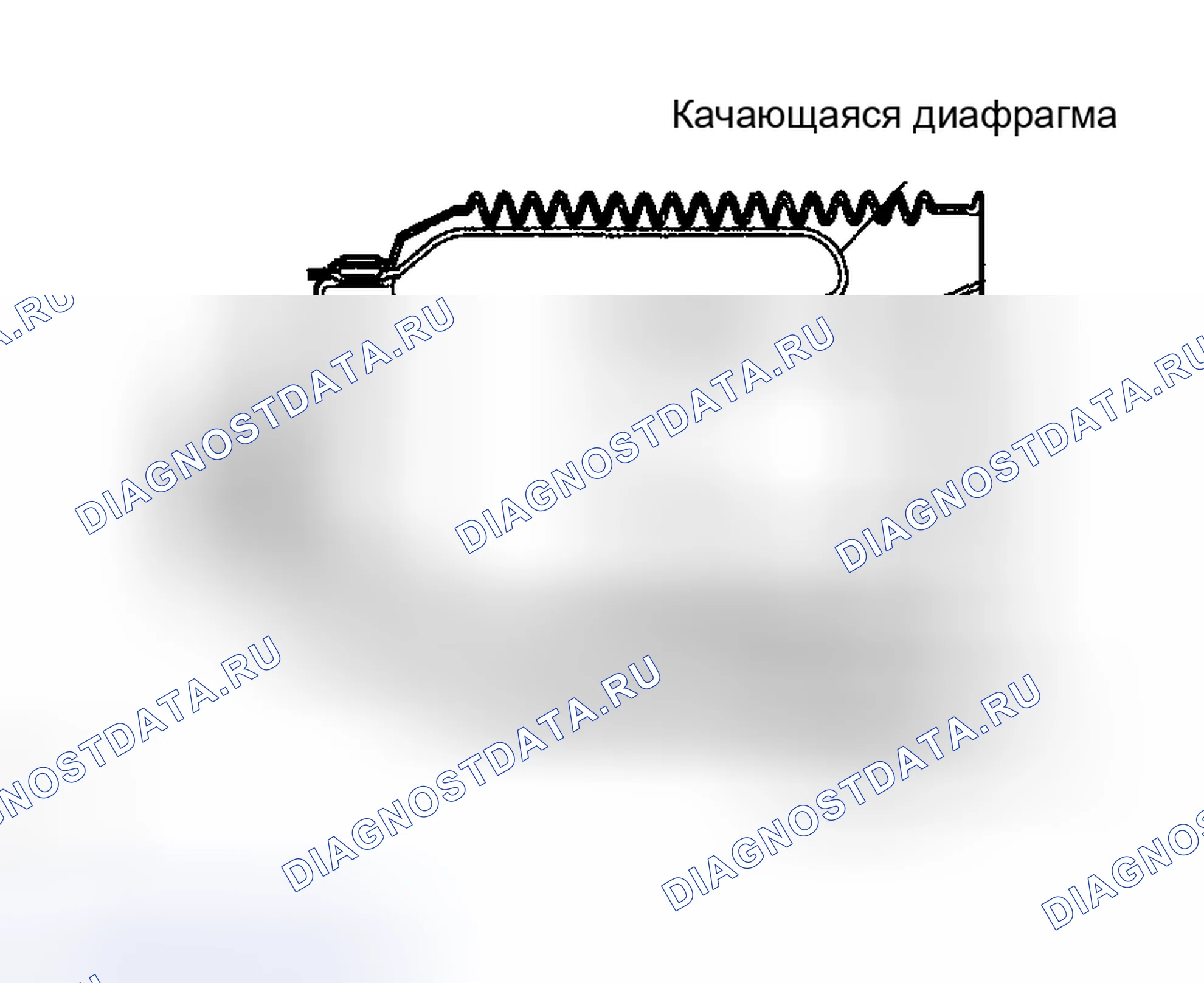 Рис. 262: ПРОВЕРКА дифференциалов и приводов. Toyota Sequoia I рестайлинг