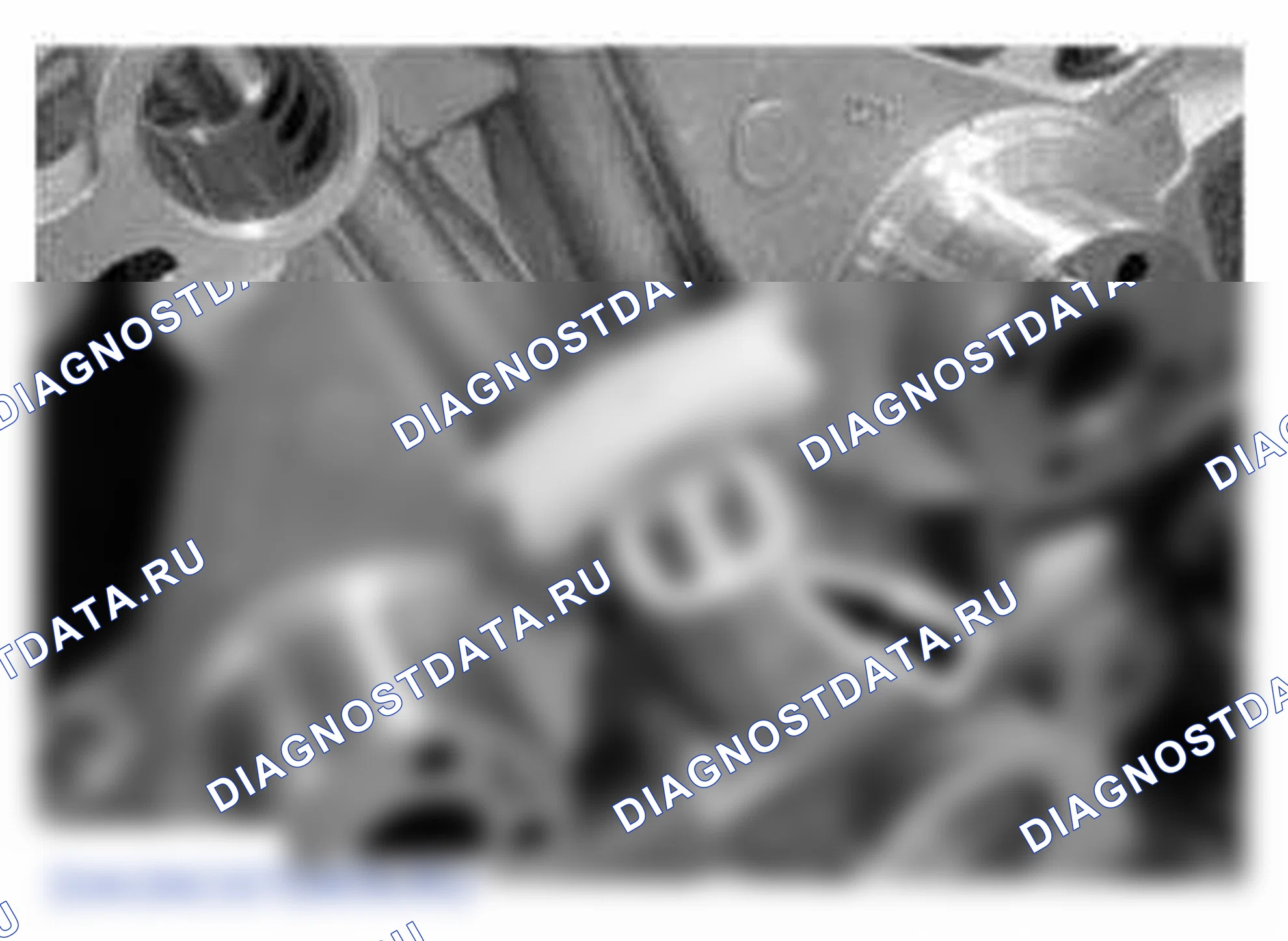 Рис. 630. Ford Mustang V рестайлинг