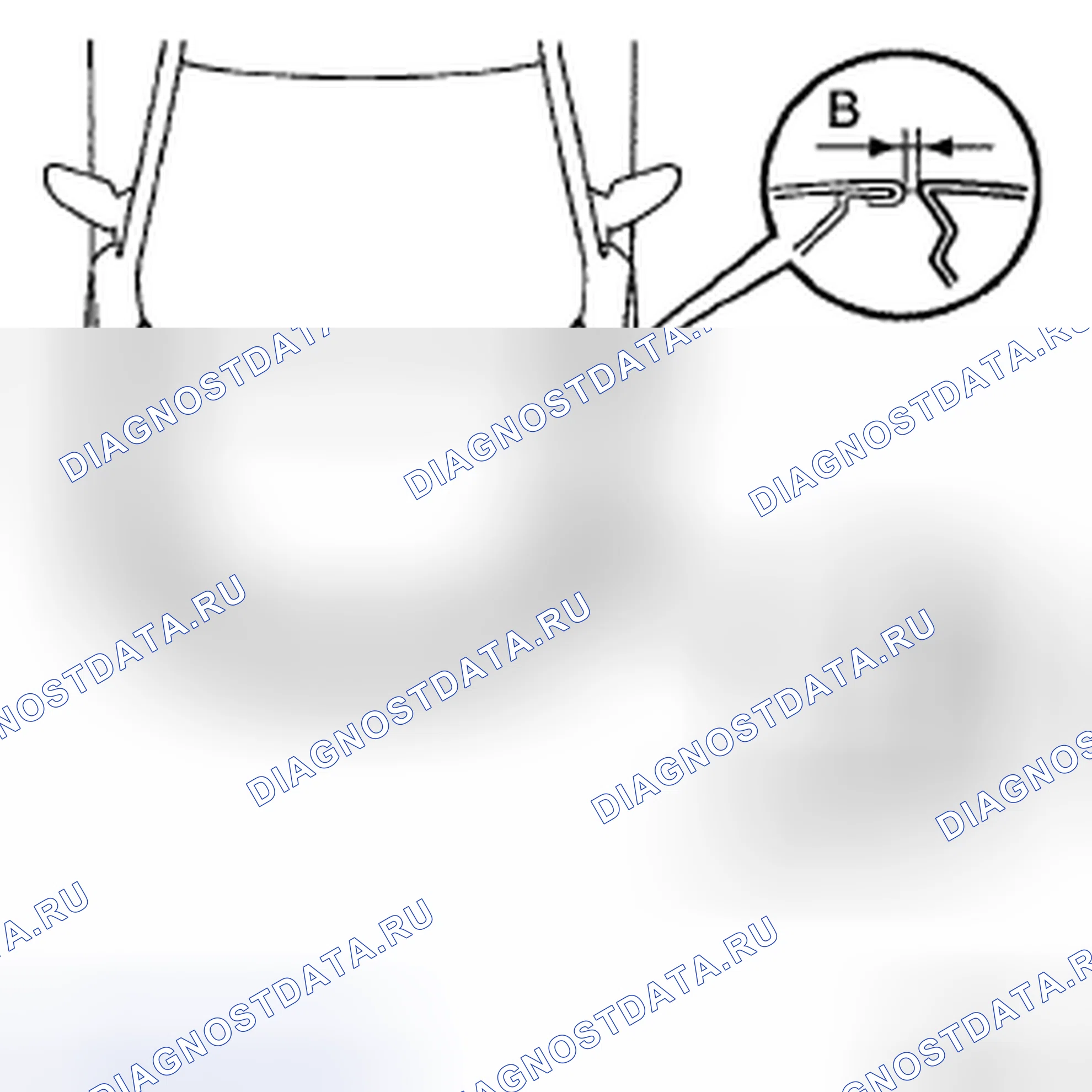 Рис. 4. Kia Sorento I рестайлинг