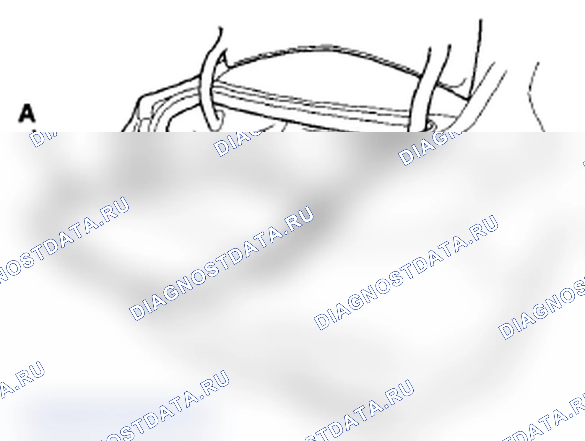 Рис. 57: Снятие/установка обрезков - зона багажника. Acura TL IV рестайлинг