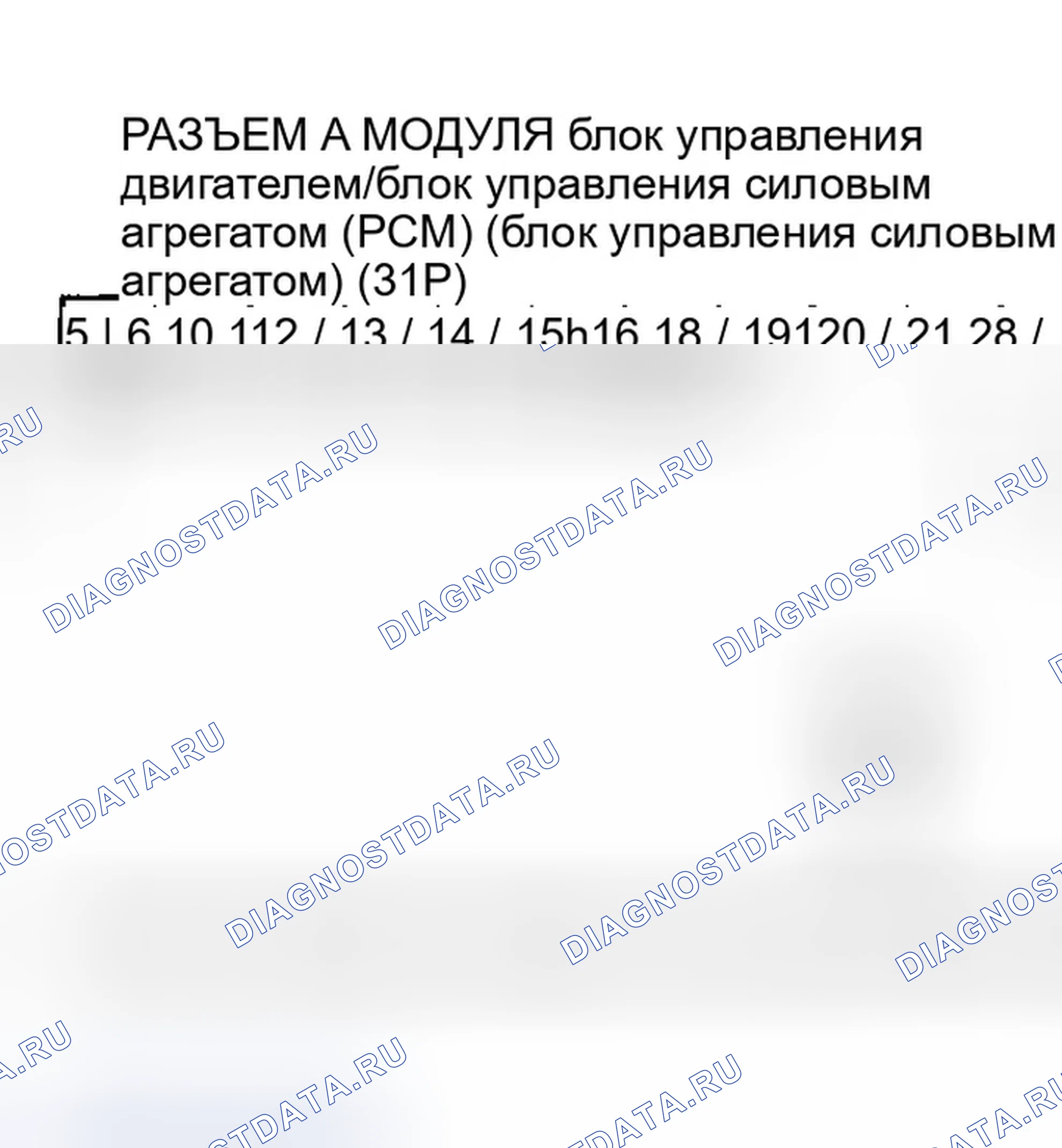 Рис. 33. Honda Element I