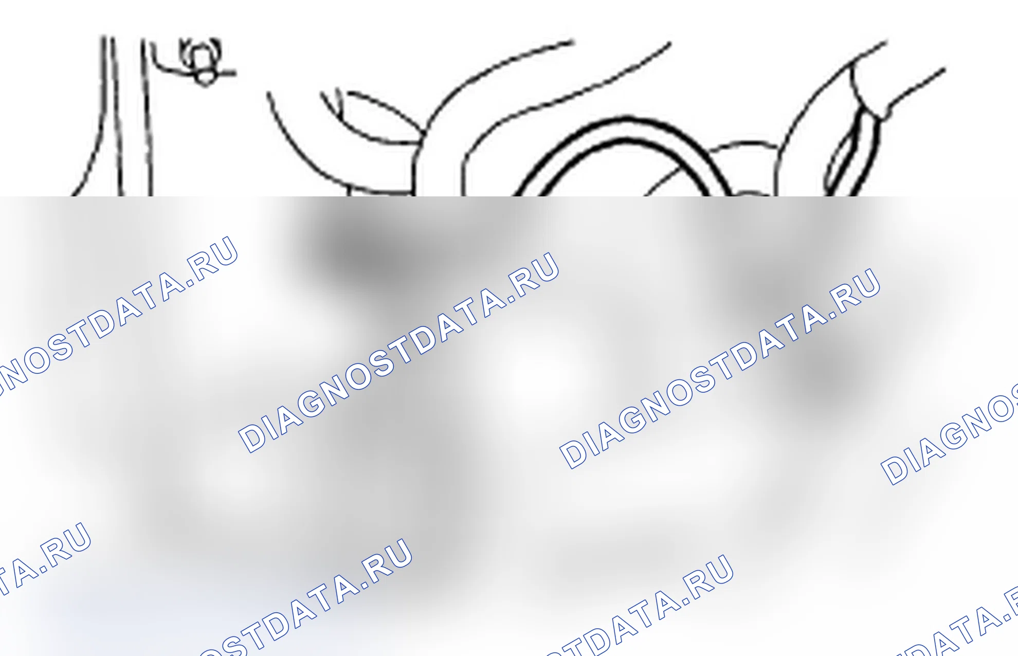 Рис. 485. Subaru Impreza WRX GD/GG рестайлинг 2