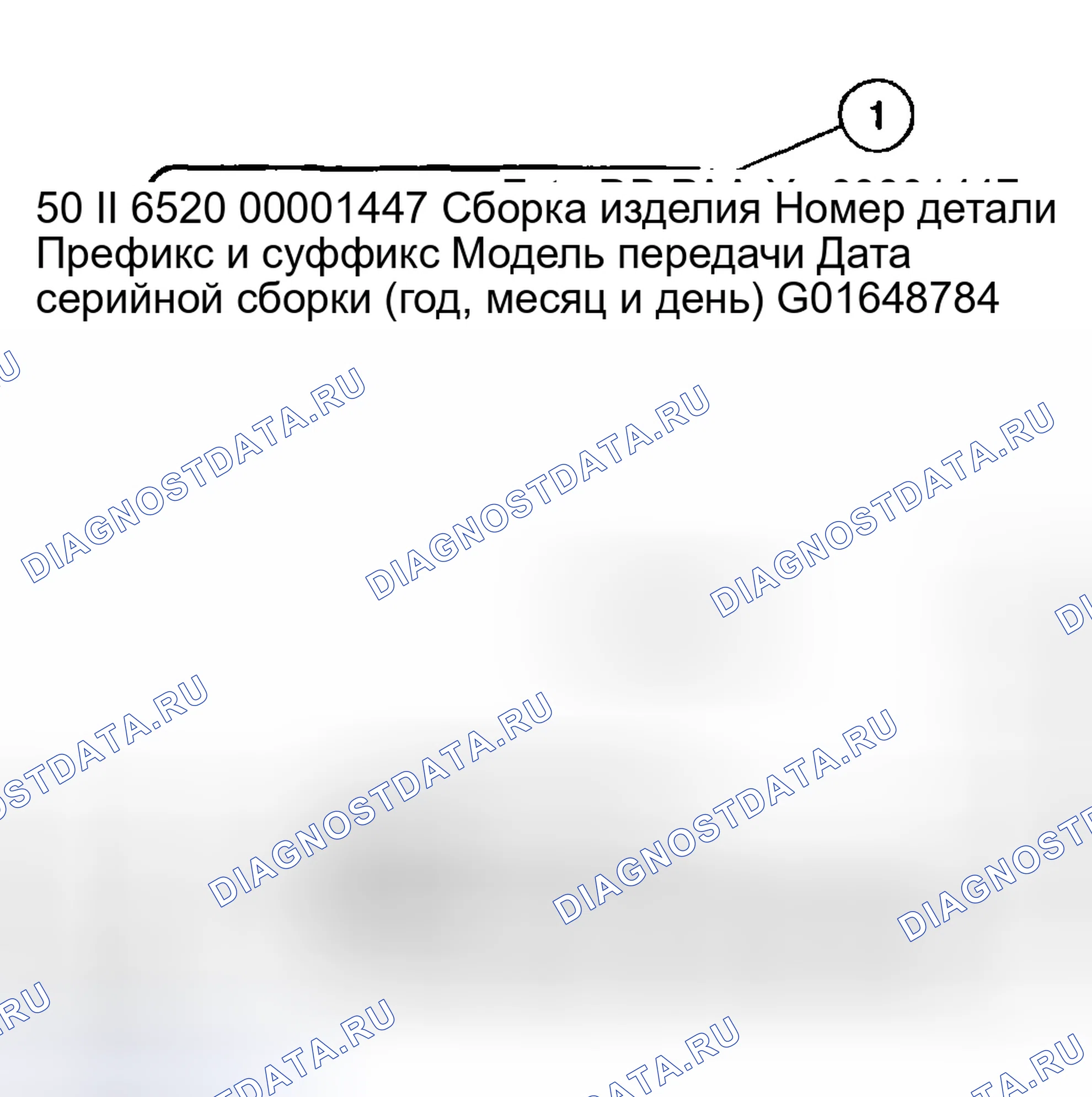Рис. 1013: ИДЕНТИФИКАЦИОННЫЕ МЕТКИ. Ford Pickup F250 Super Duty I