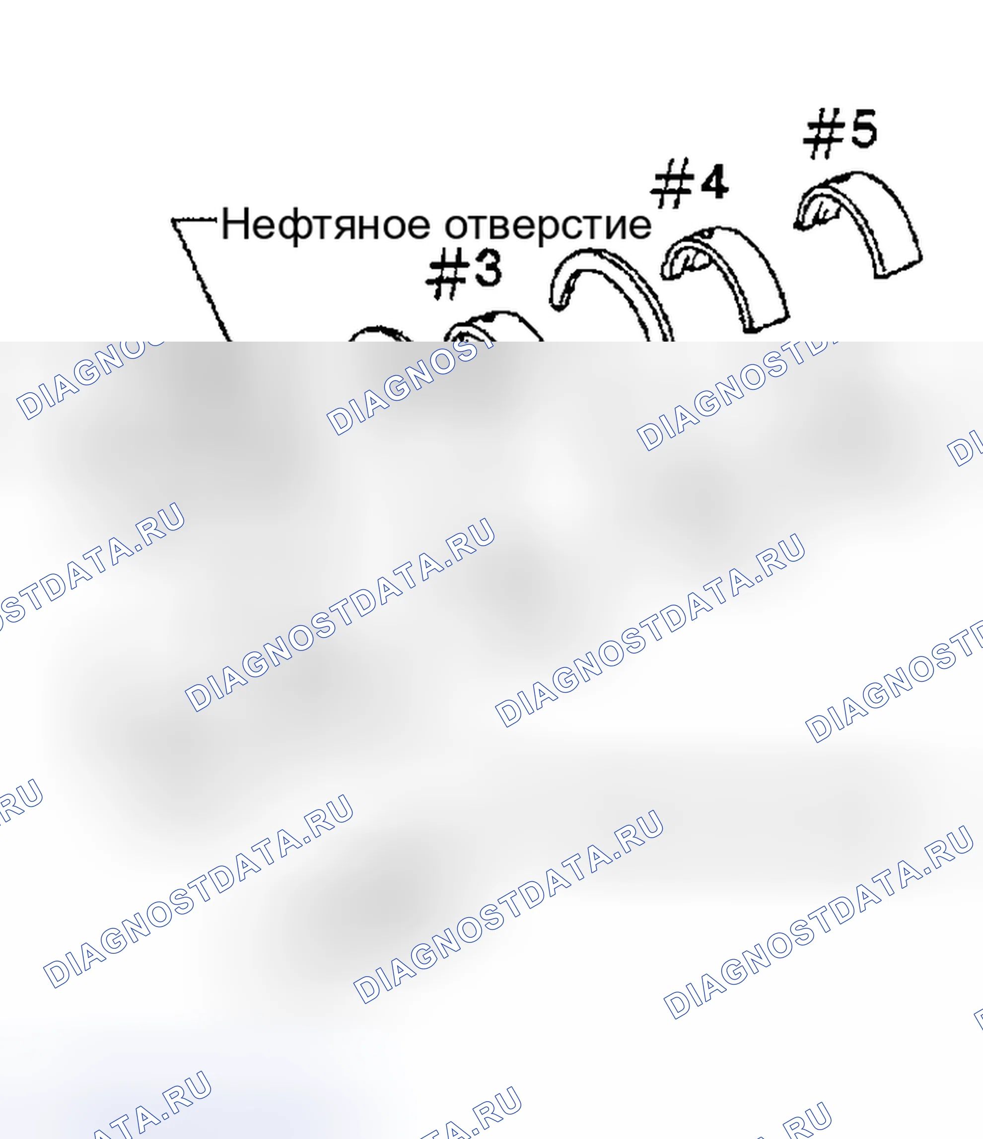 Рис. 496. Nissan Sentra B15