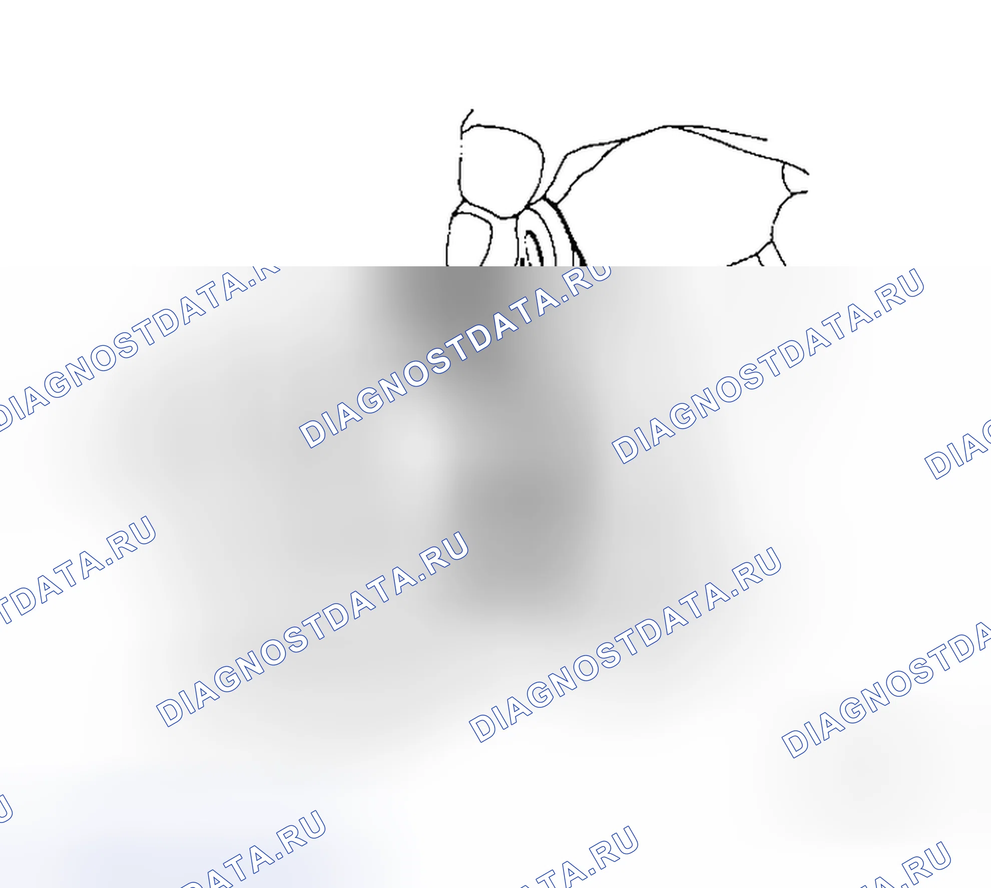 Рис. 14. Honda Jazz I