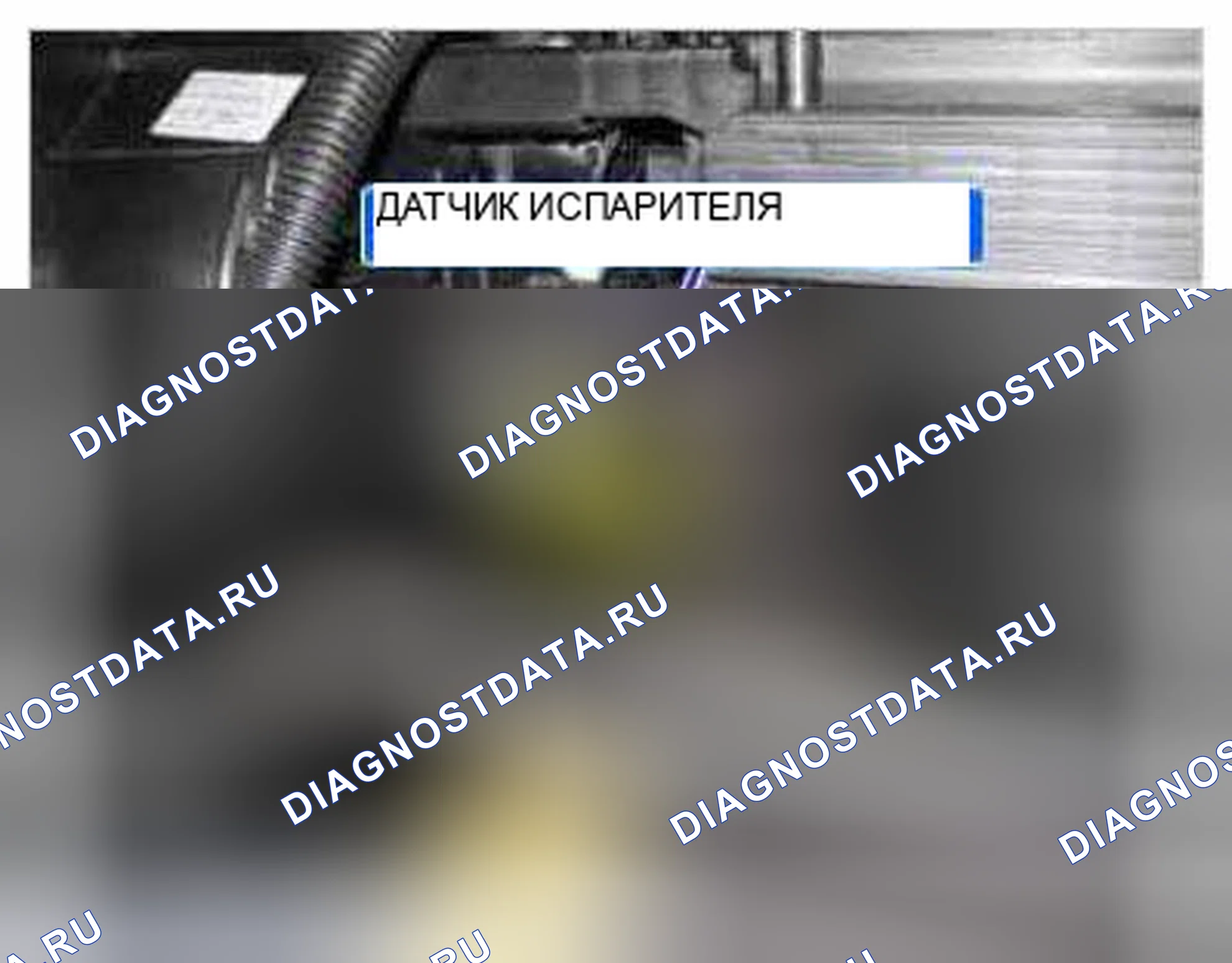 Рис. 284: Расположение компонентов. Kia Optima III