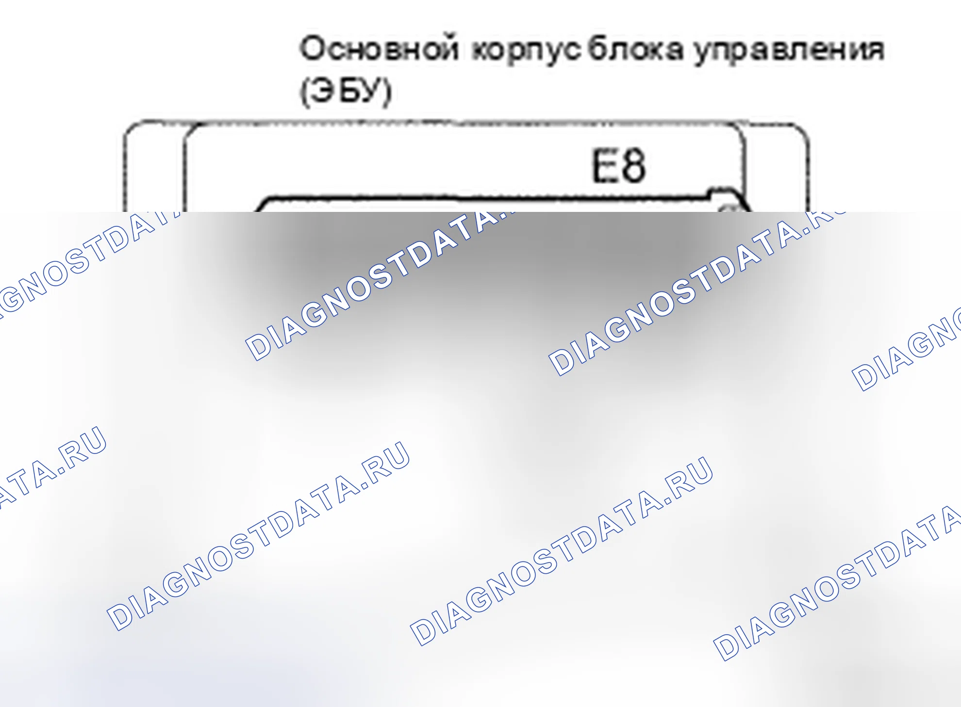 Рис. 241. Toyota Camry XV40