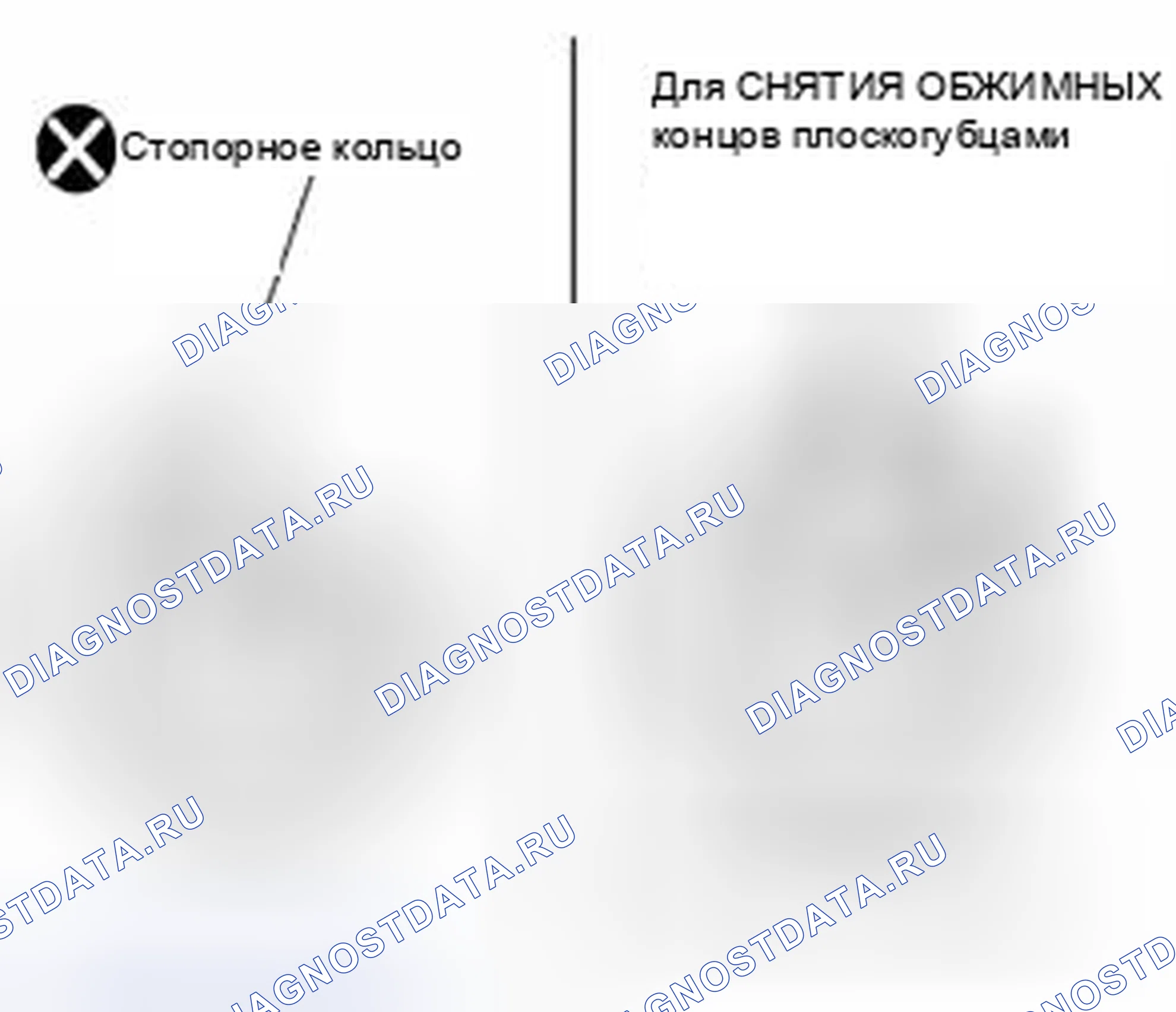 Рис. 53. Suzuki Equator I