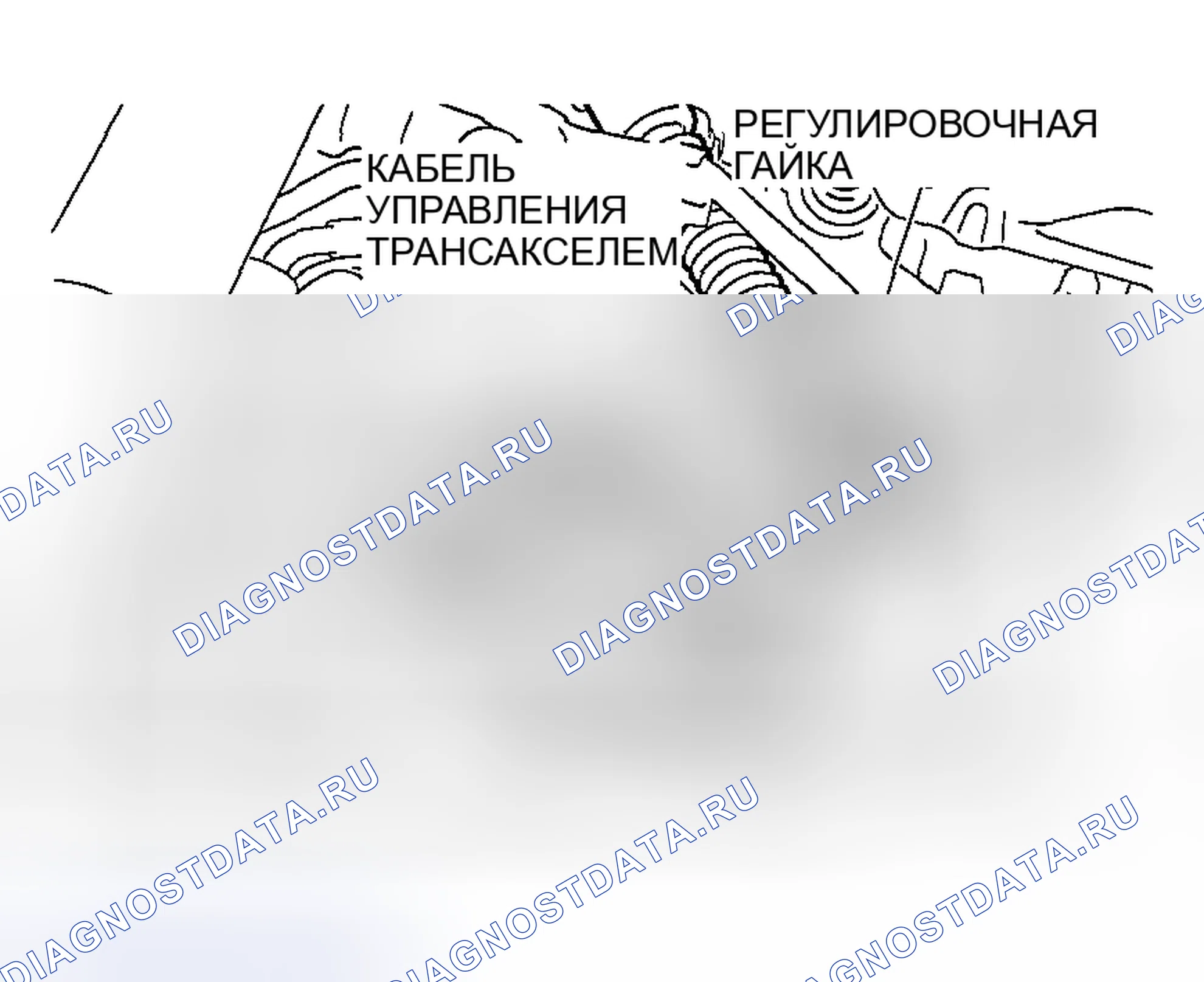 Рис. 1465: ПЕРЕКЛЮЧАТЕЛЬ ДИАПАЗОНА ПЕРЕДАЧИ И РЕГУЛИРОВКА ТРОСА УПРАВЛЕНИЯ. Honda Edix I