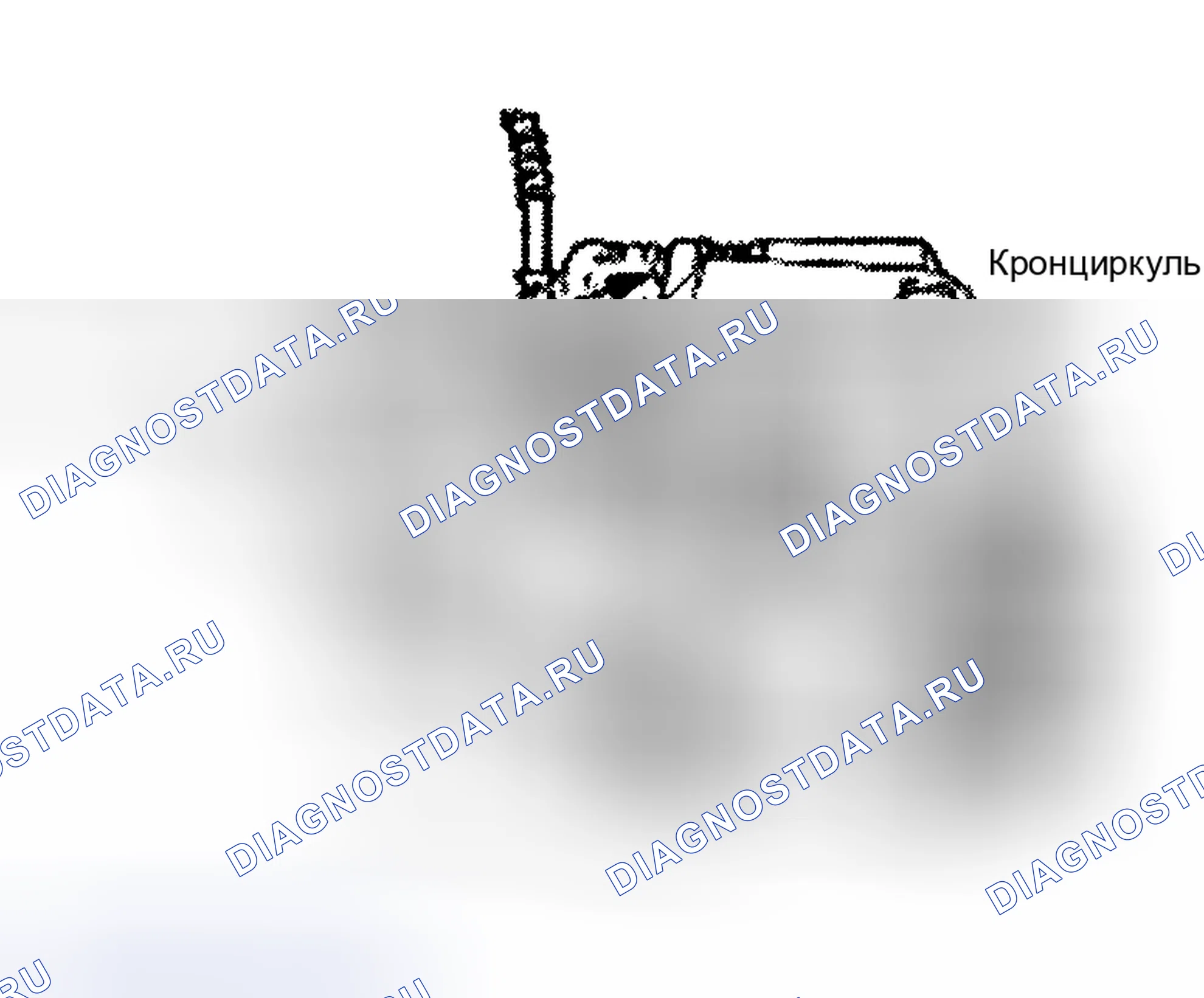 Рис. 1. Mazda Flair II