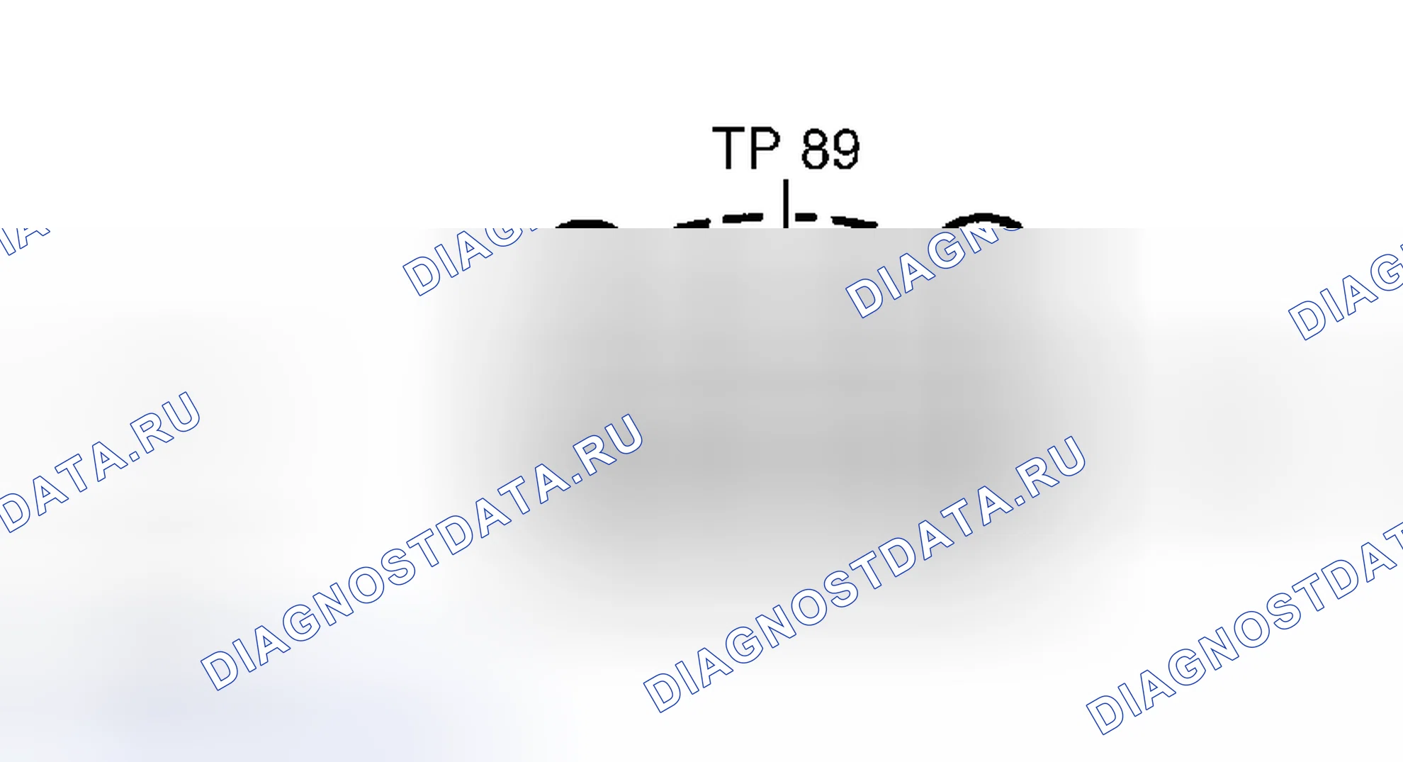 Рис. 106. Hyundai Palisade I