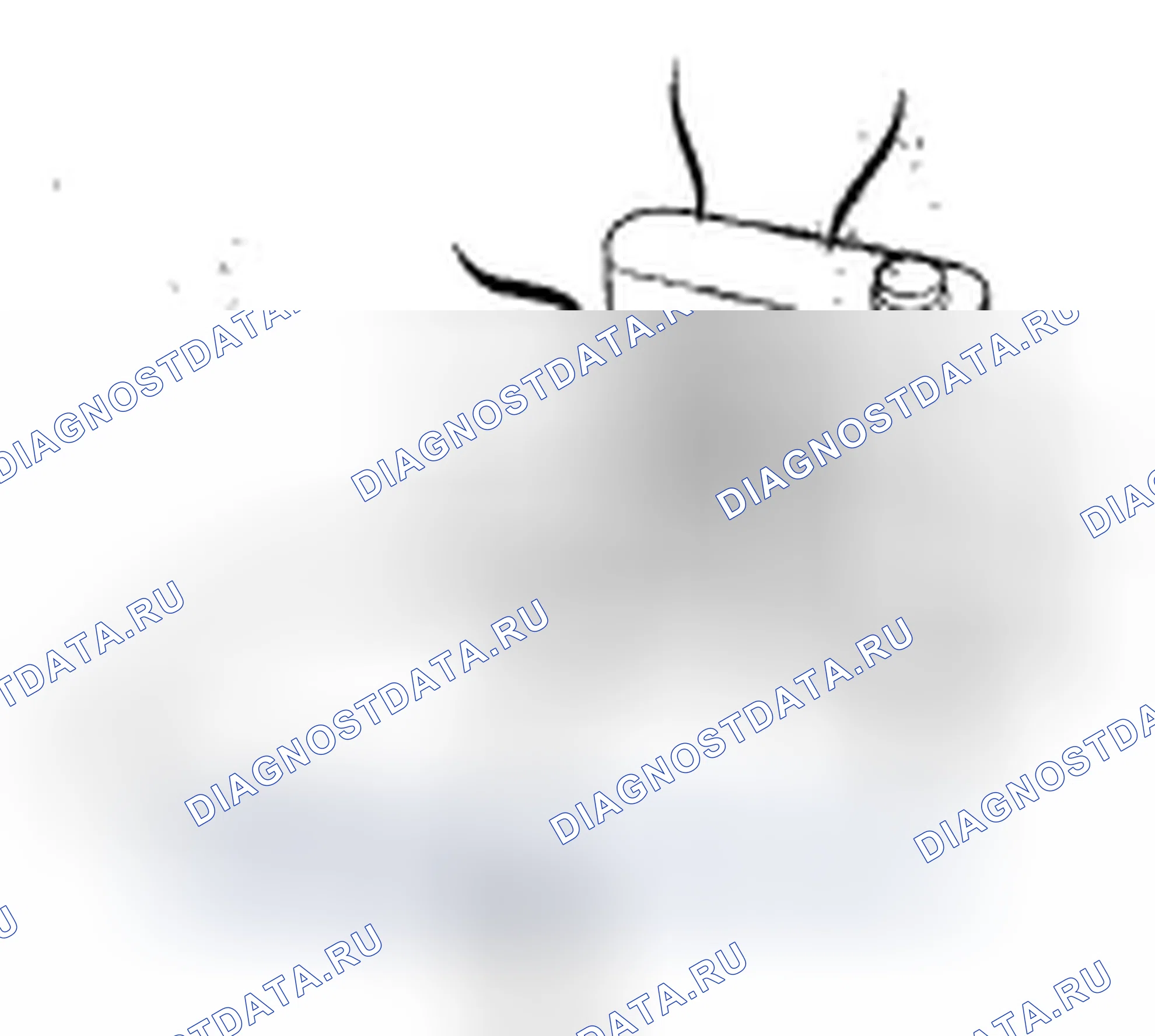 Рис. 257. Honda Element YH2 рестайлинг 2